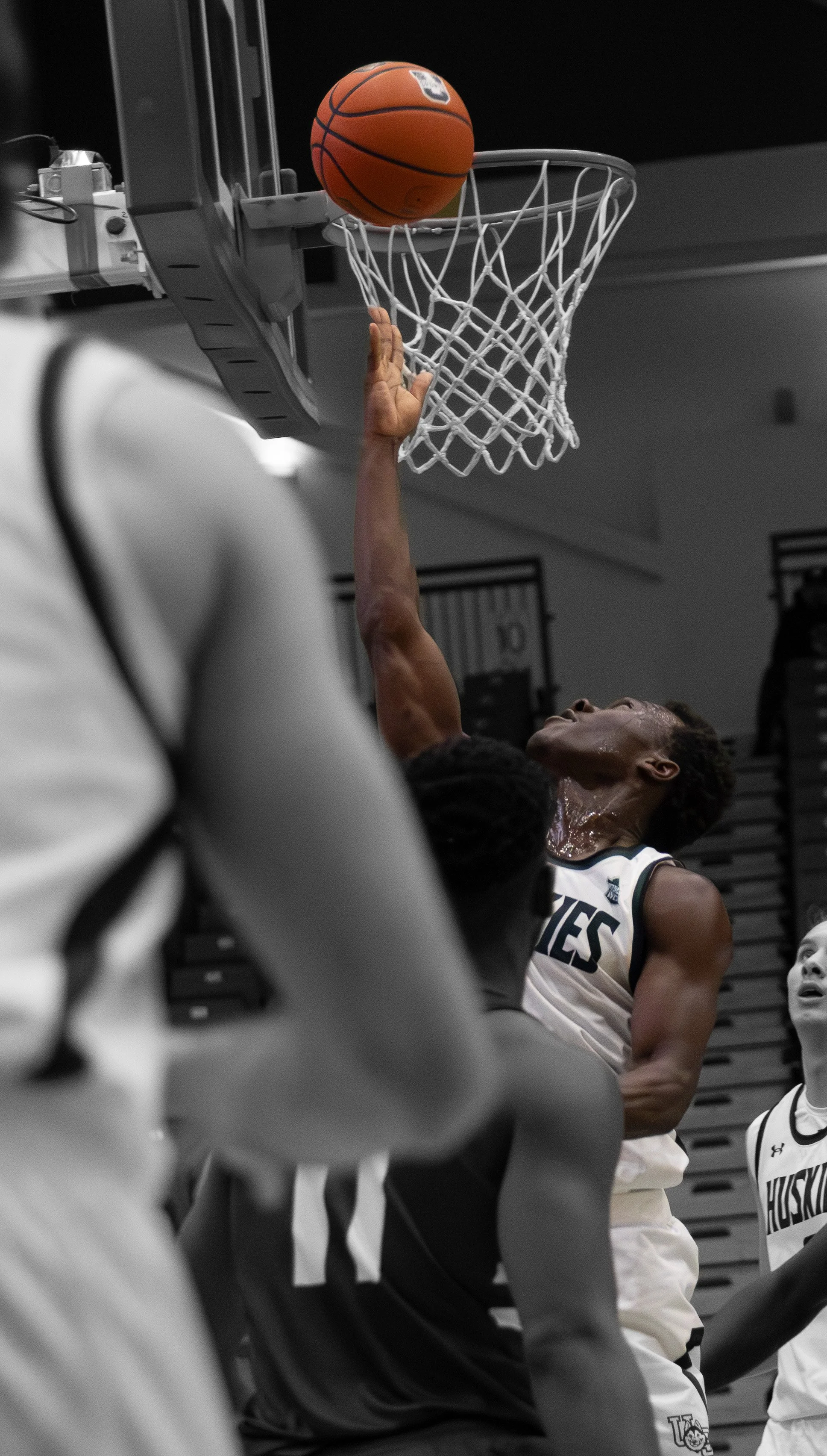 Huskie Basketball Semi light-30.jpg