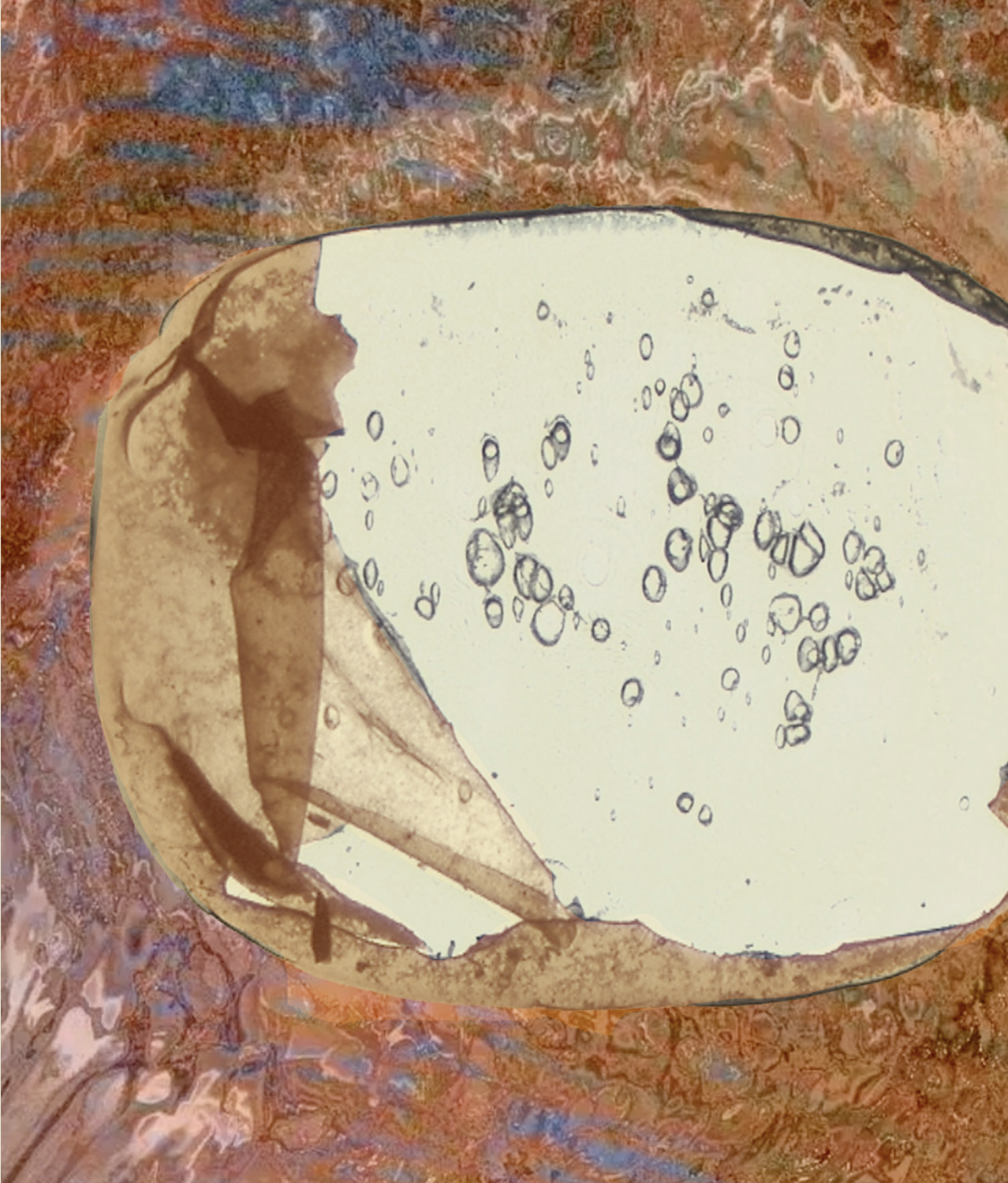 I am Mother, She is Me