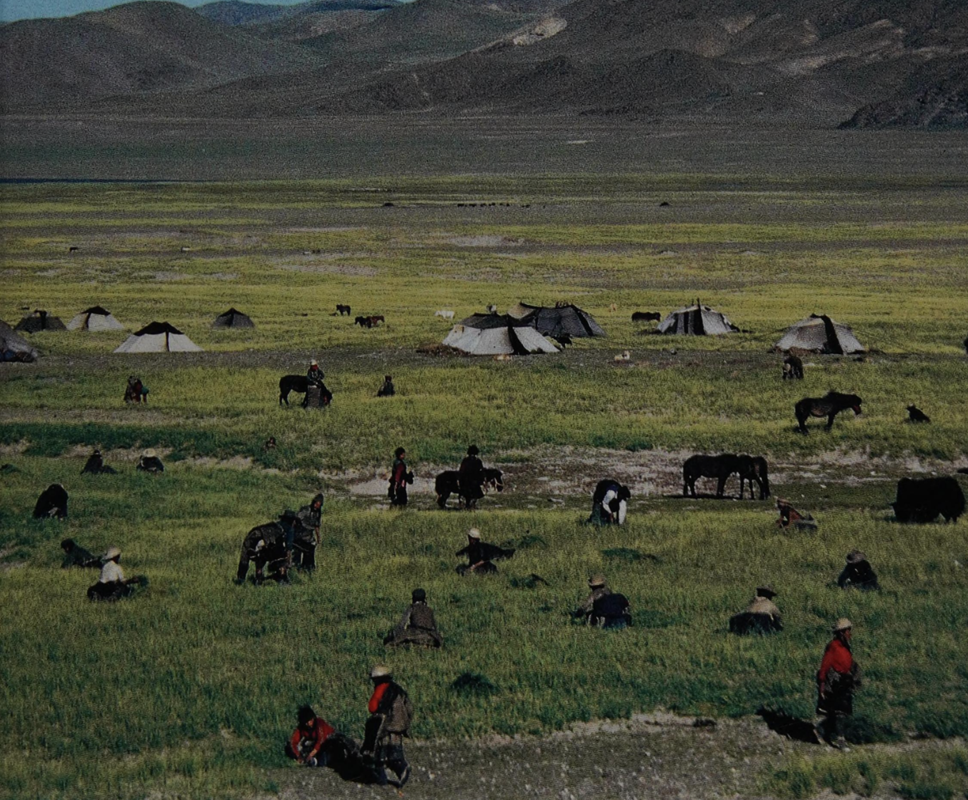 My mountains, like yours