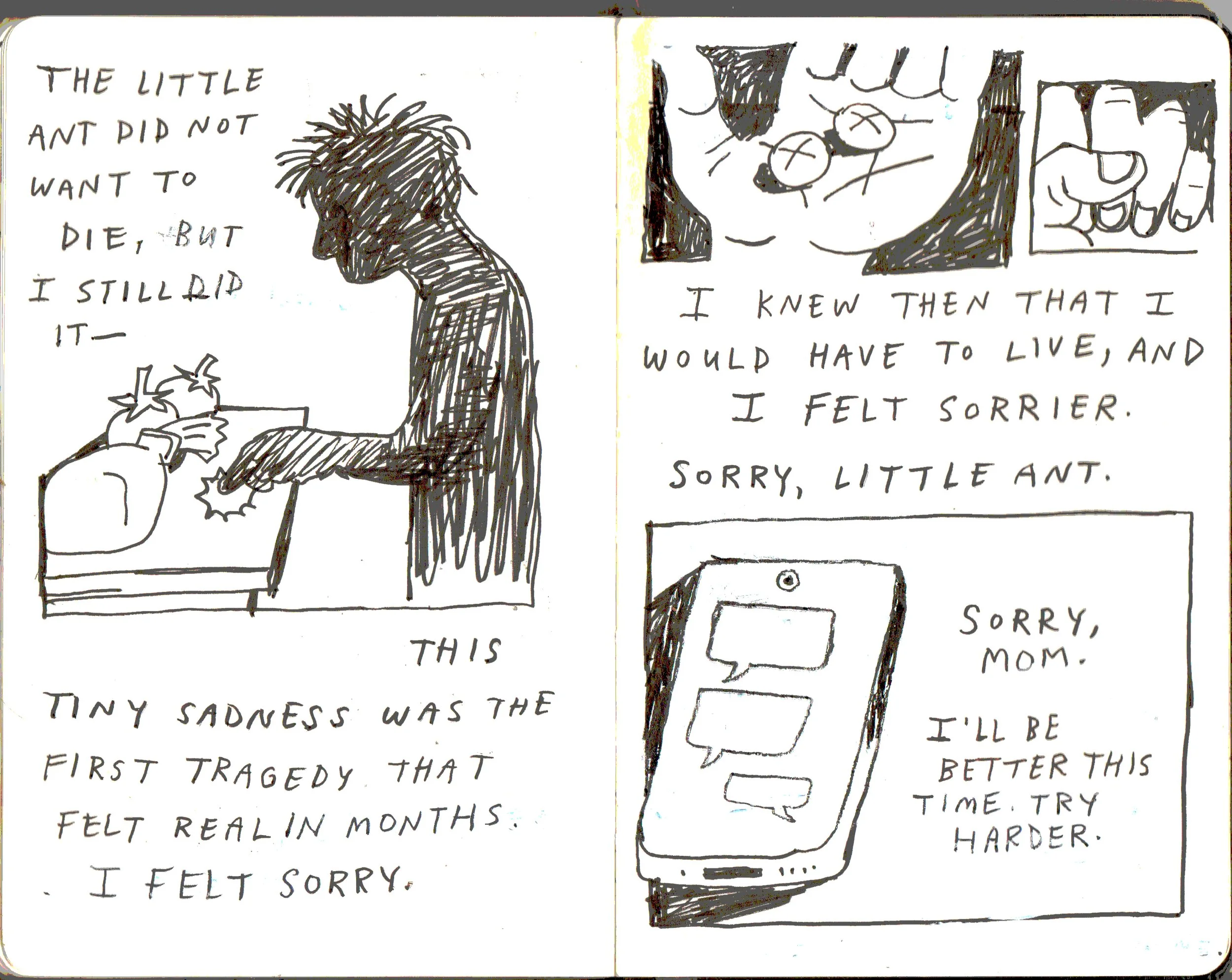 ant_3_4.jpg