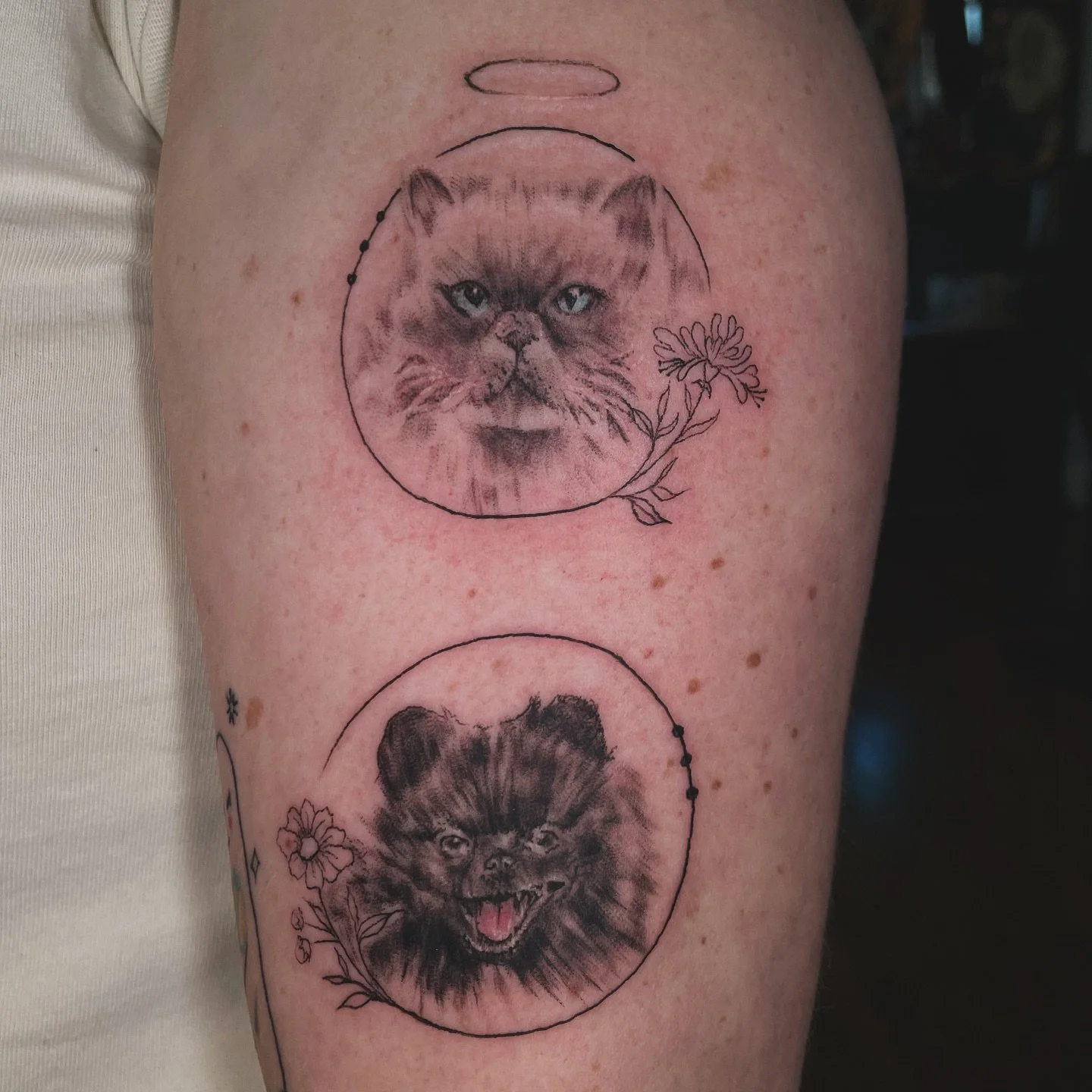 Did the cutest lil micro pet portraits for @mimipopdot 💖 and got to meet the cutest lil guy Emmett. Thanks for making my day 🥹
#petportrait #petportraittattoo #micropetportrait #femaletattooartist #illinoistattooartist #chicagotattooartist #kankak