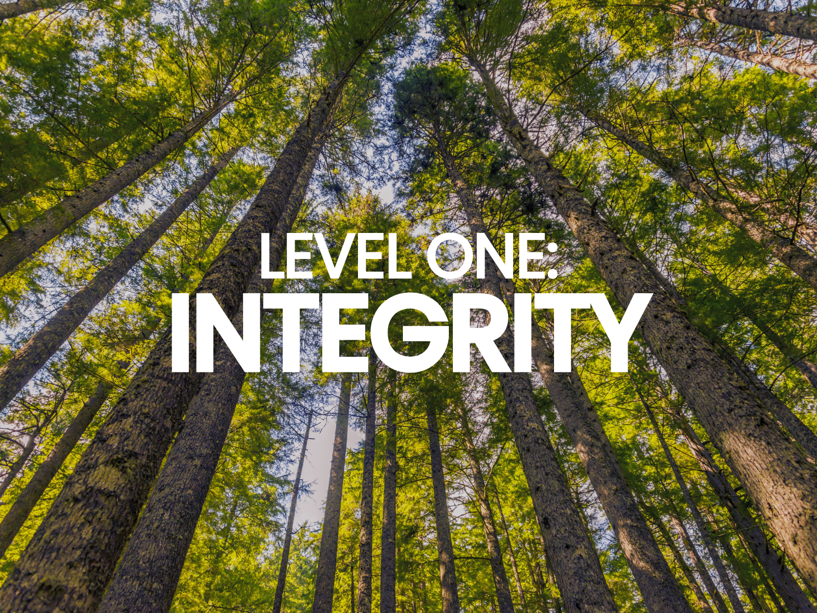 Level 1: Integrity Weekend Workshop (In-Person)