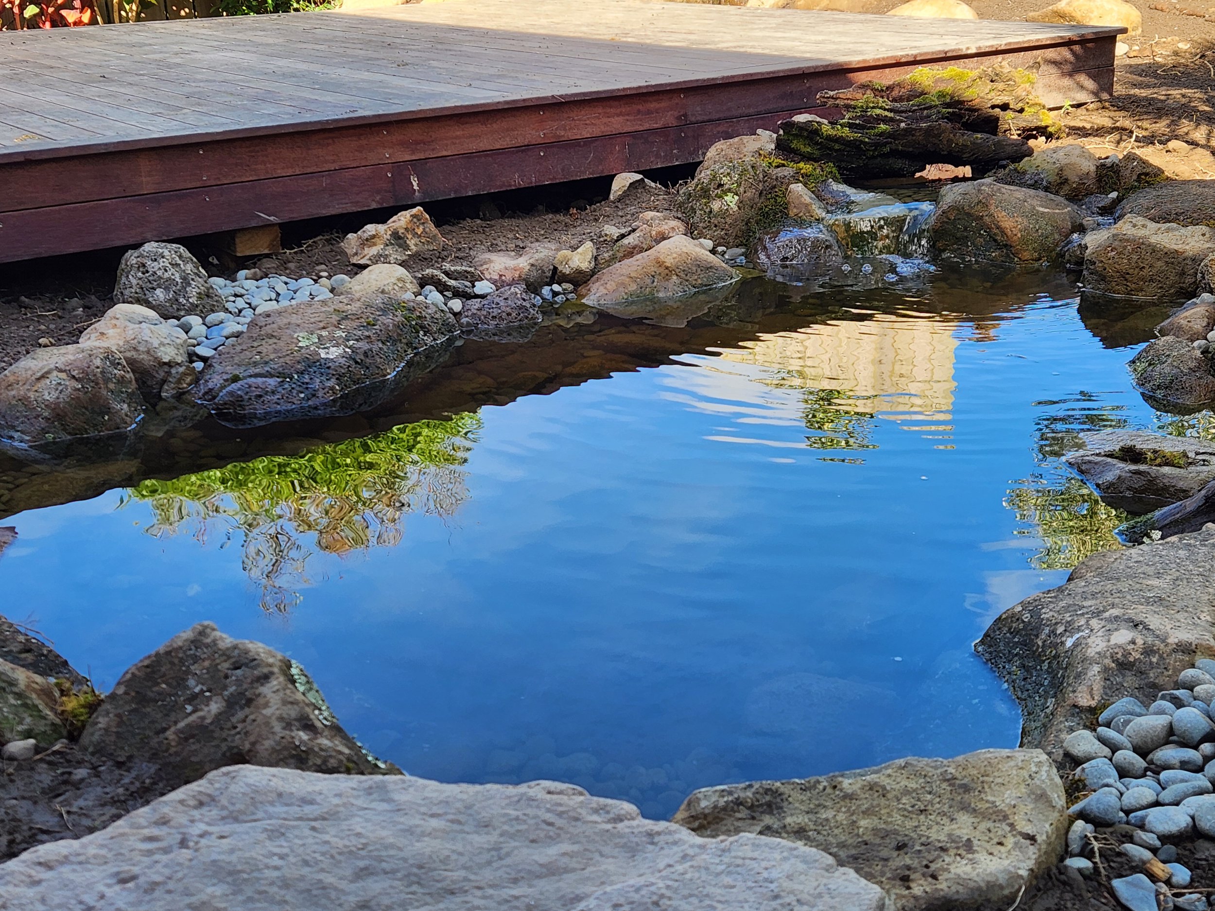 Eco-system pond with timber deck integration and sky reflection — Southern Waterscapes Ltd, Selwyn Canterbury