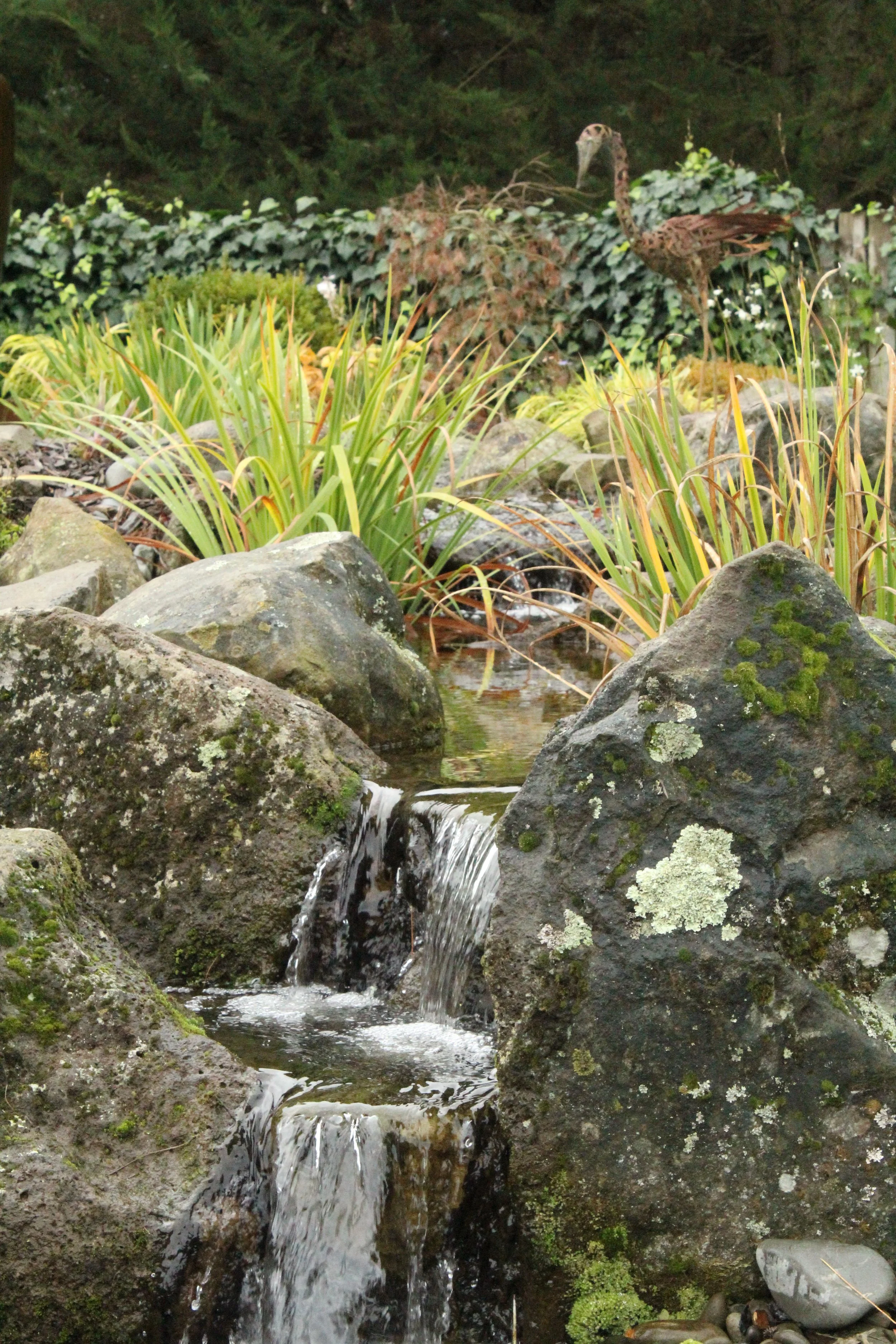 Cascading waterfall over moss-covered boulders surrounded by native flax and grasses