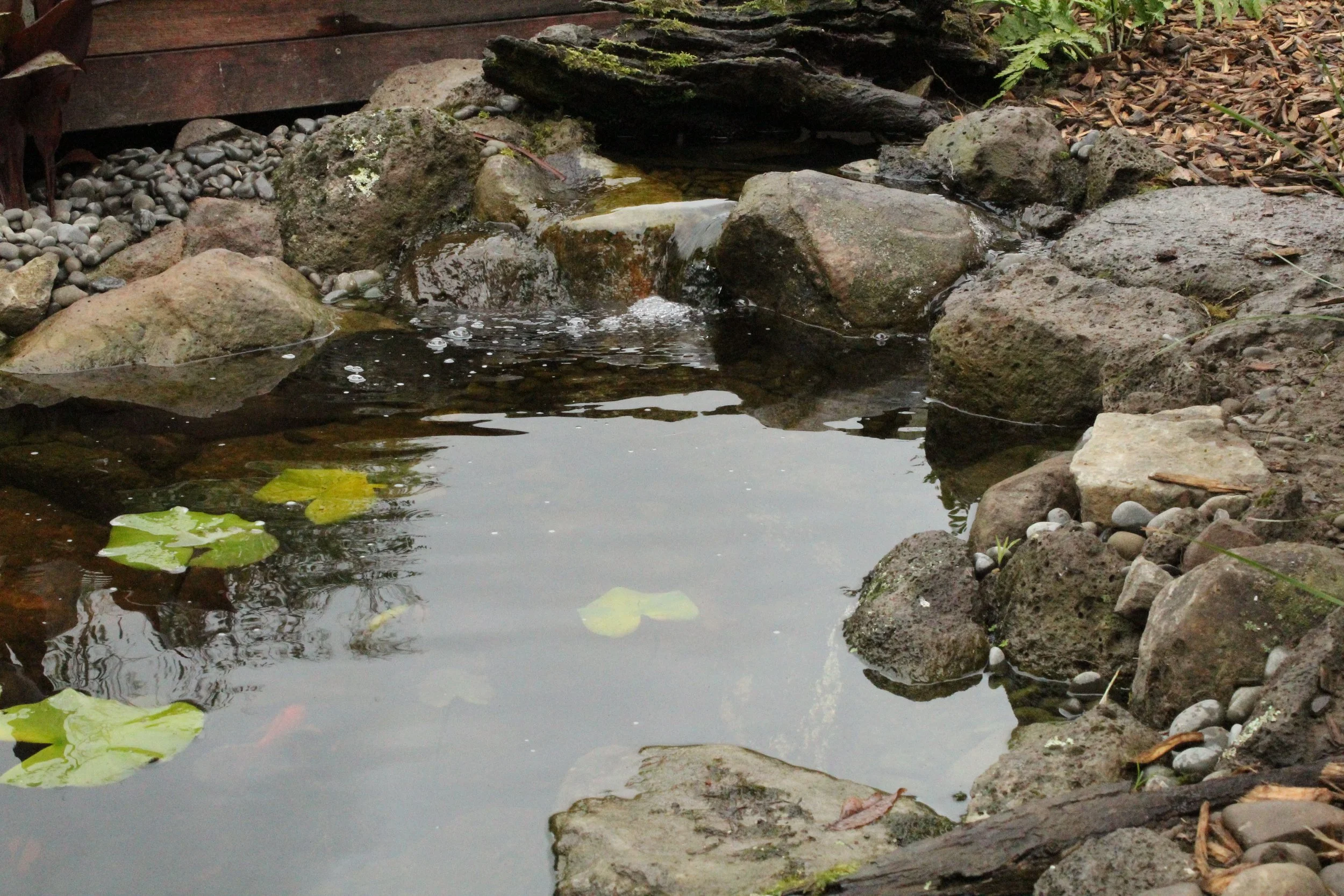 Ecosystem pond with goldfish, Oxford field boulder and driftwood, Darfield, Selwyn — Southern Waterscapes Ltd
