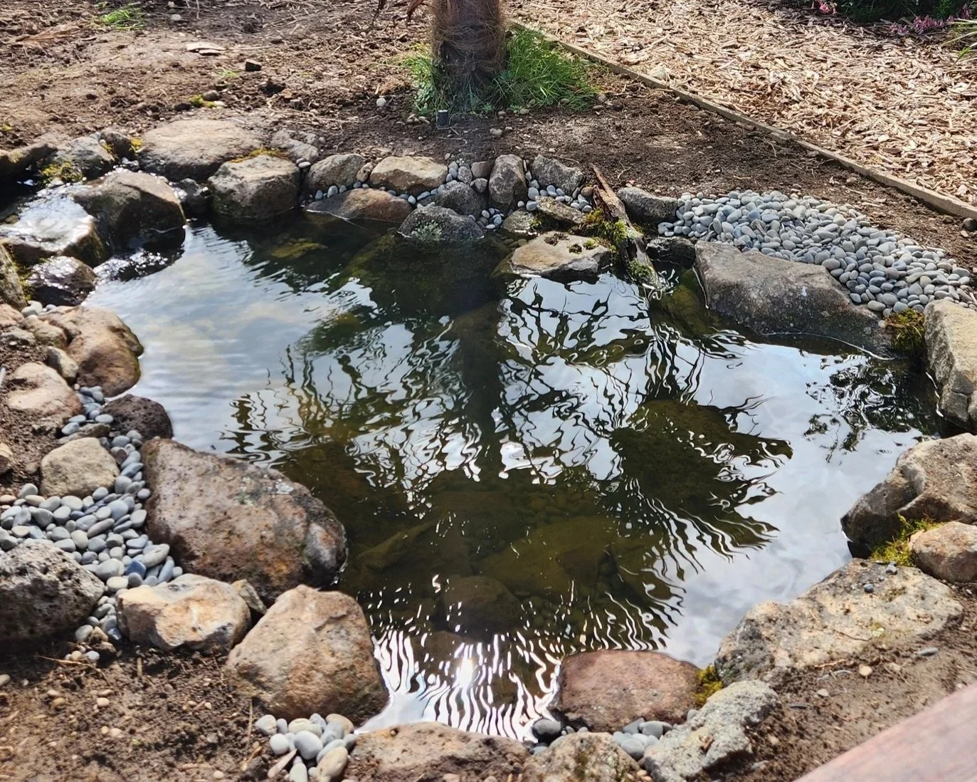 How Much Does a Garden Pond Cost in Canterbury?