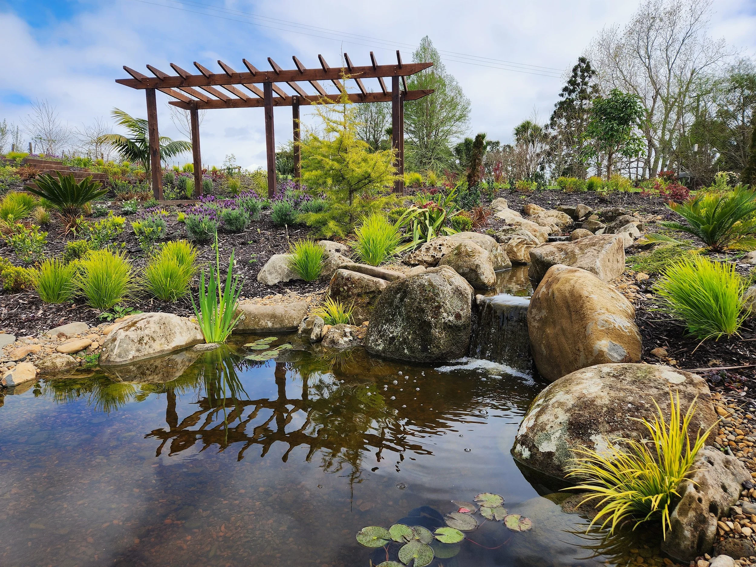 Why Is My Pond Water Green? How to Fix It Naturally