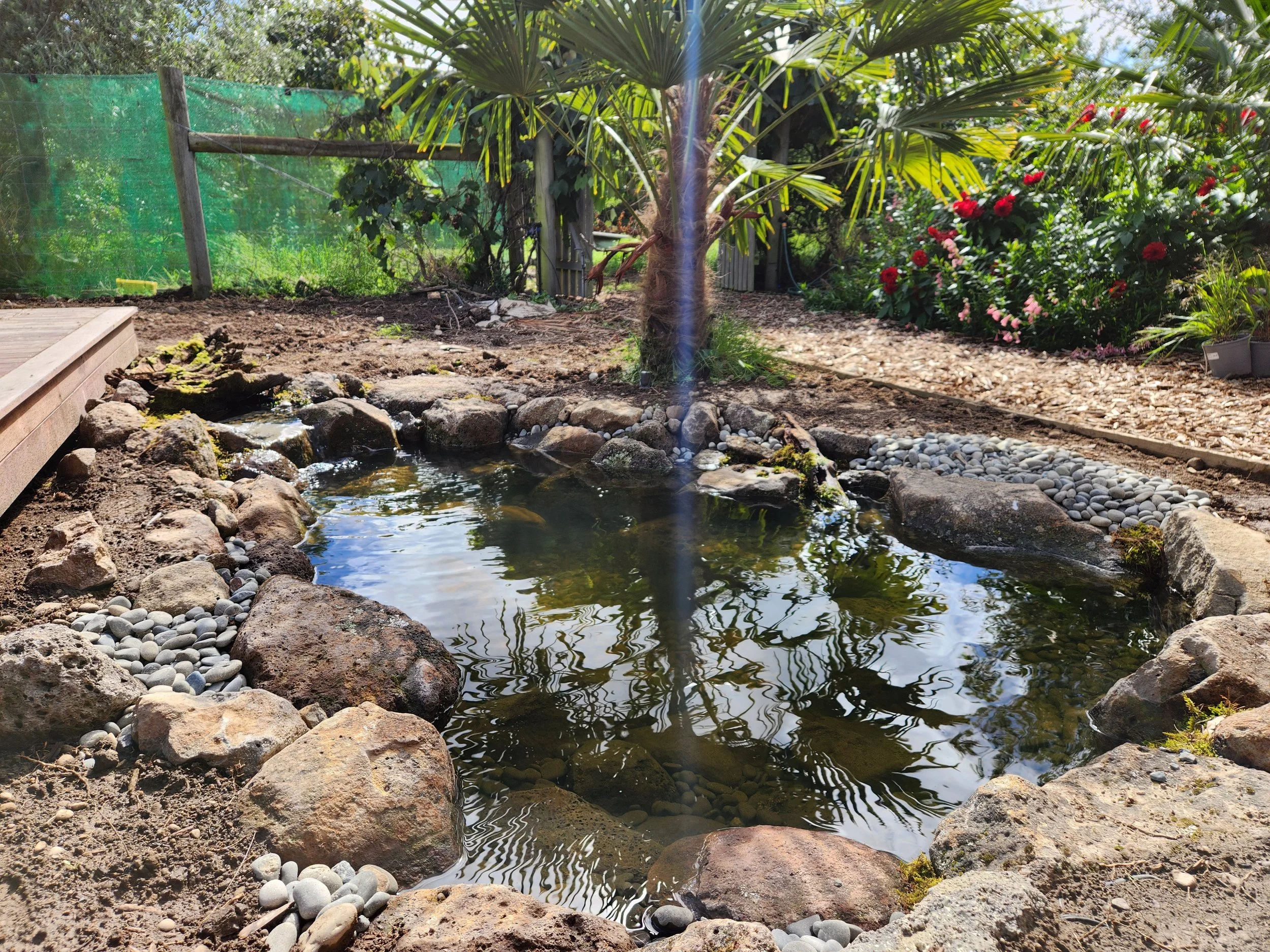 Are Garden Ponds Safe for Children?