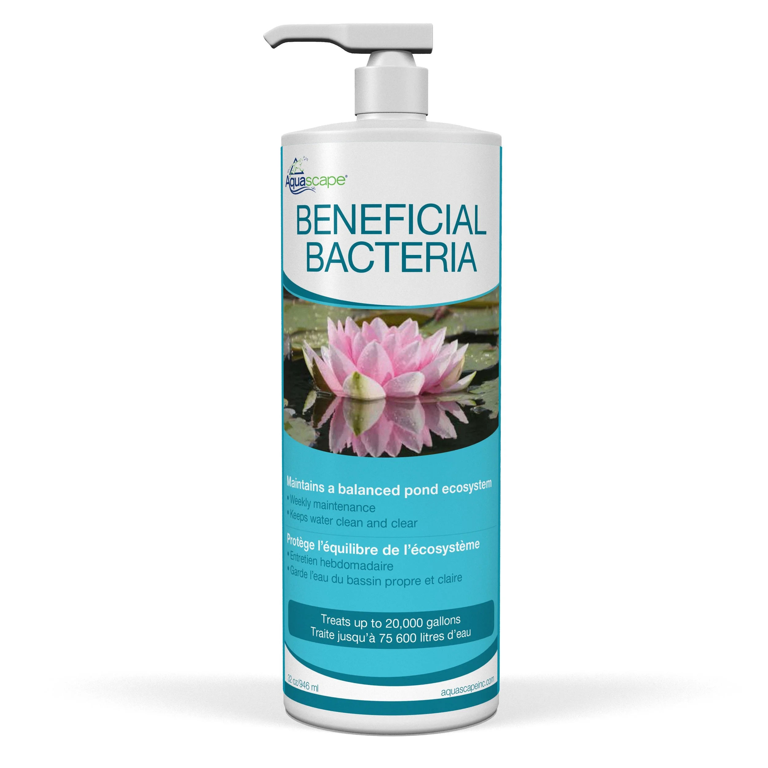 Why Your Ecosystem Pond Needs Beneficial Bacteria - And How Much