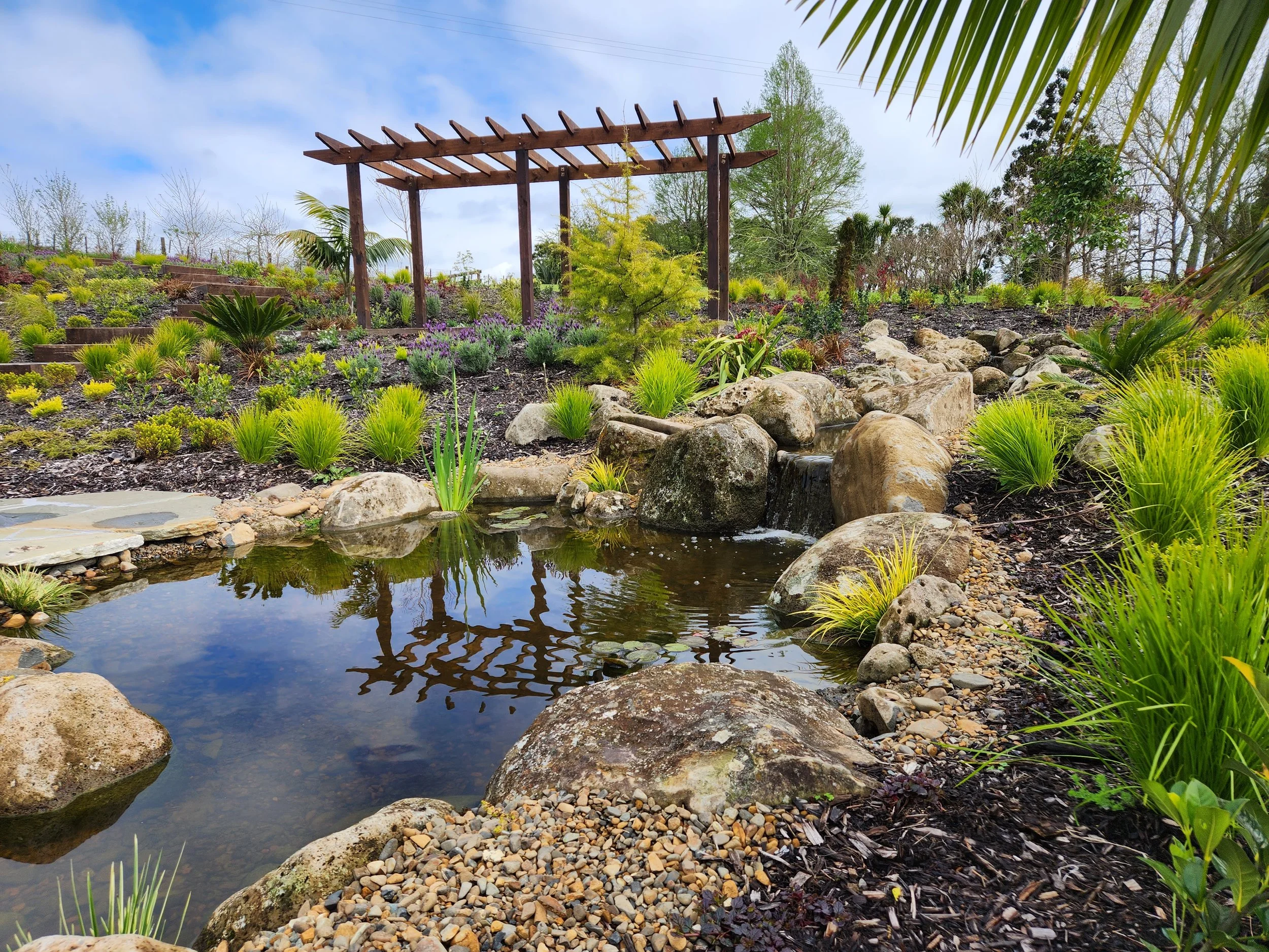 A landscaped garden with a small pond, rocks, and various green plants, with a wooden trellis structure and trees in the background.