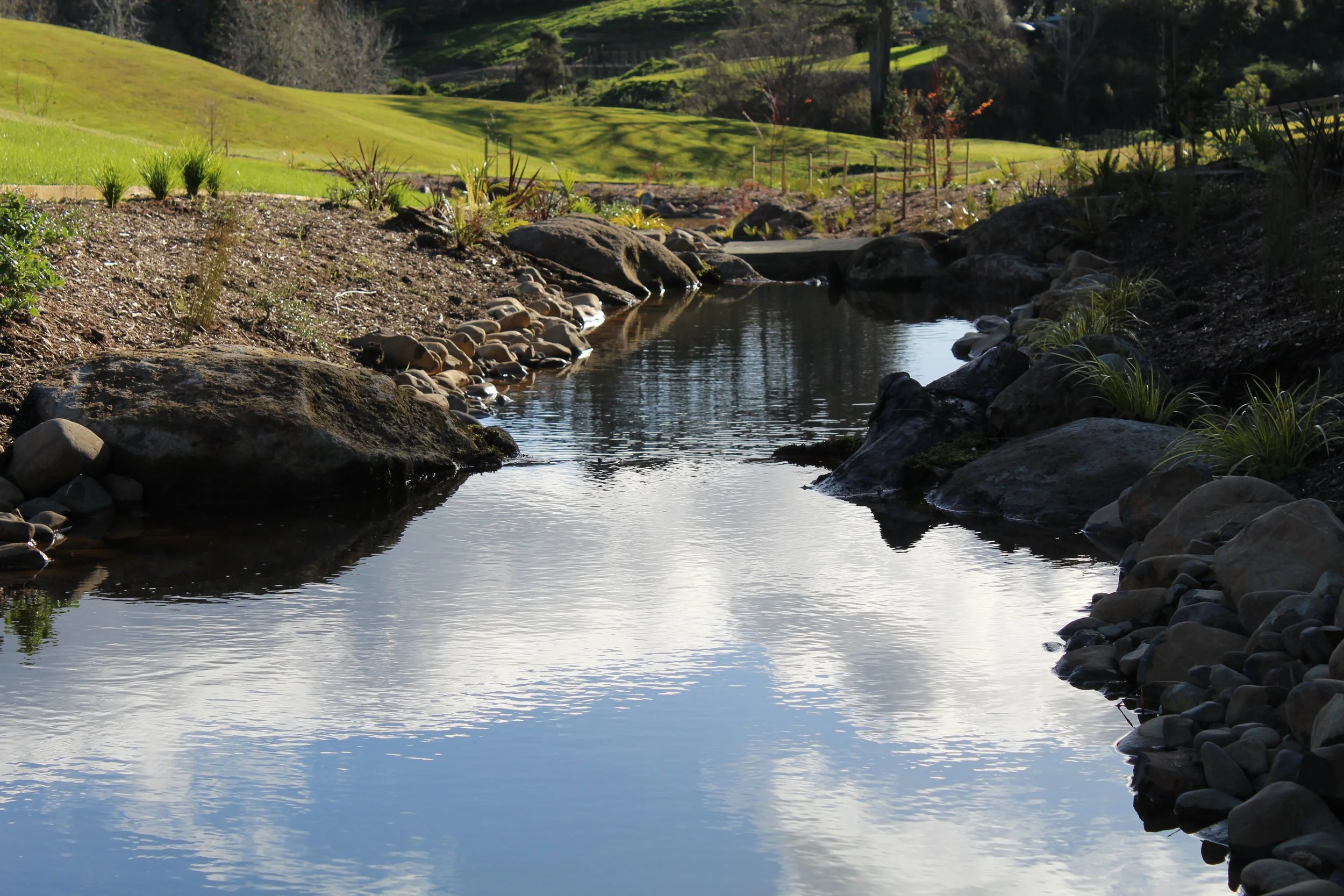 A peaceful stream flowing through a landscaped yard with green grass, plants, and rocks, with hills and trees in the background.