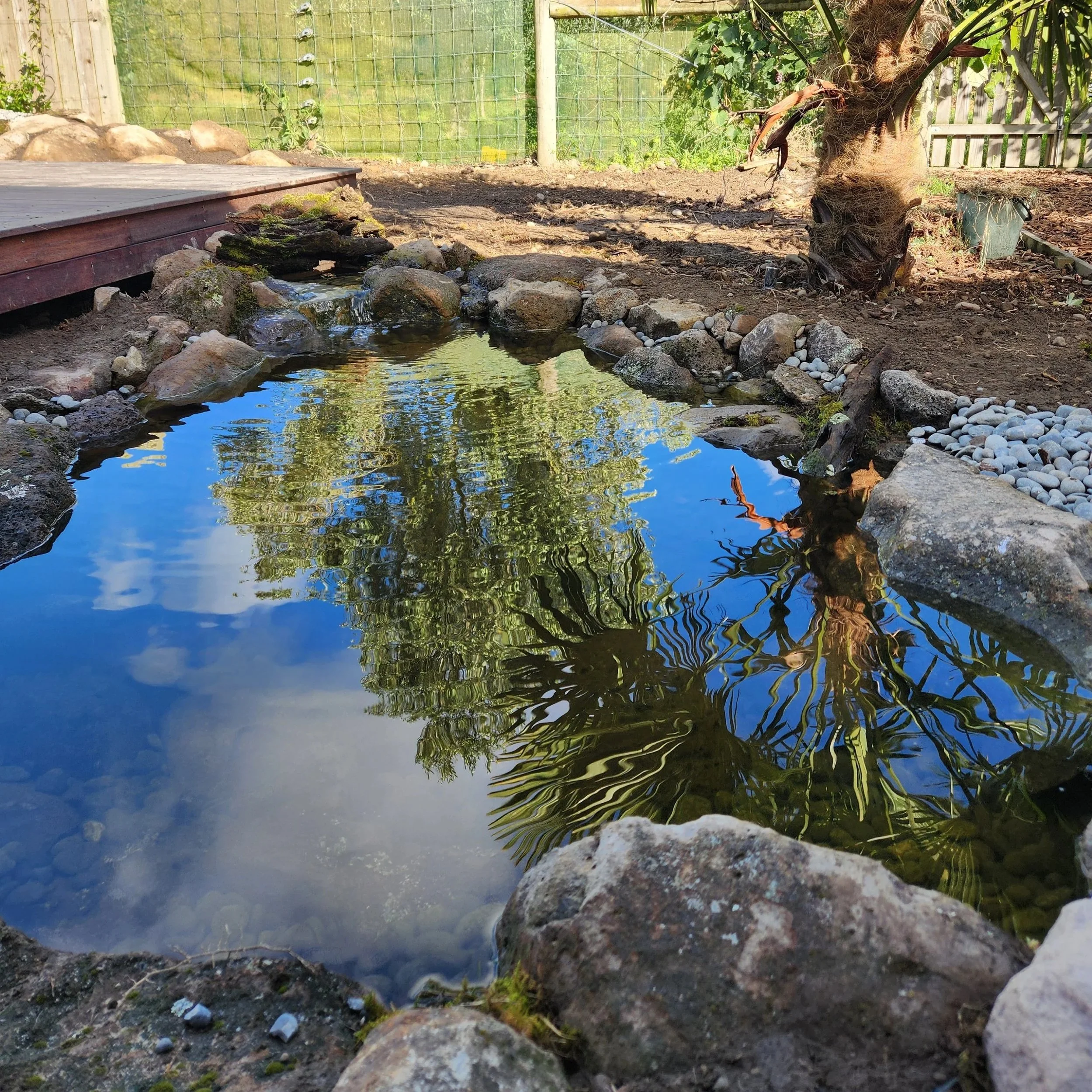 Custom eco-system pond with natural boulder edging and sky reflection — built by Southern Waterscapes Ltd, Selwyn, Canterbury