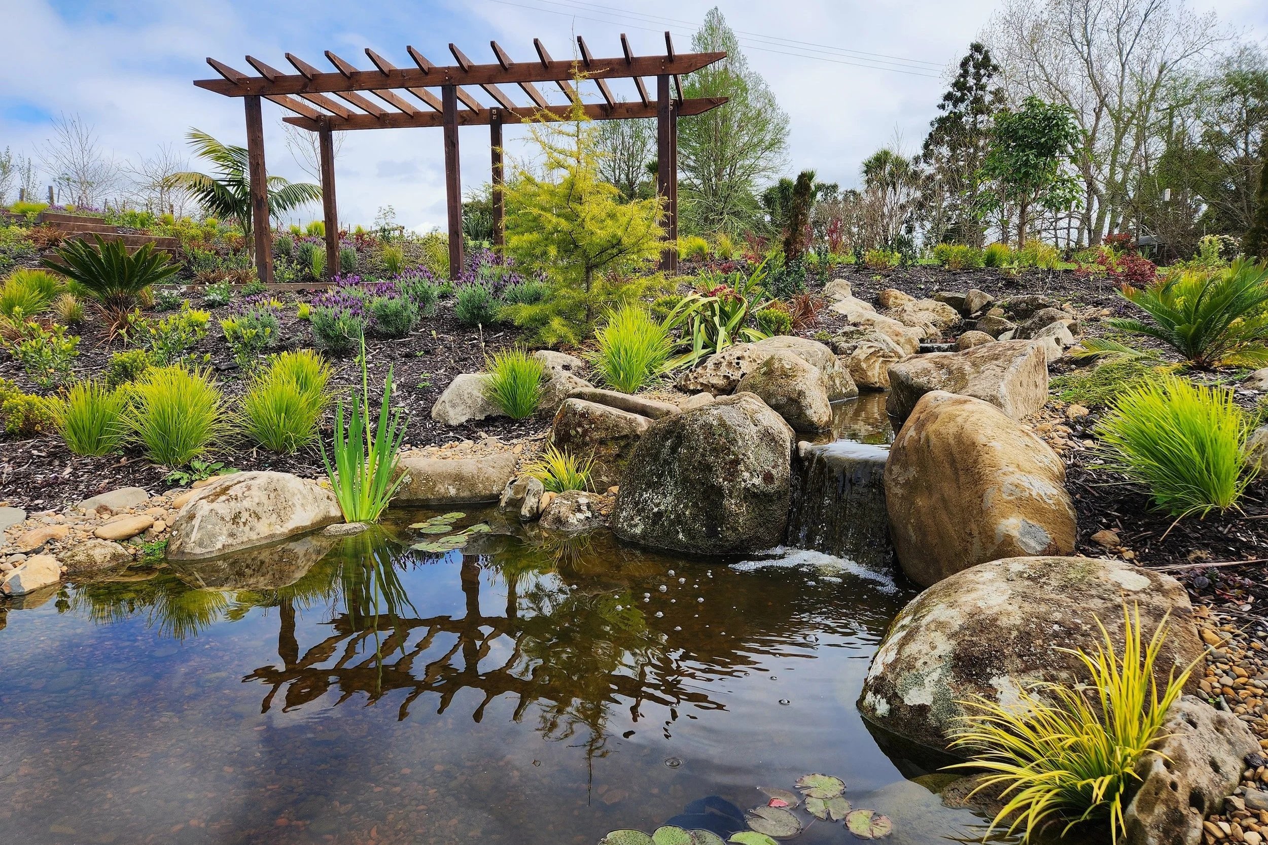 Ecosystem pond with Aquascape wetland filtration and custom pergola, Dairy Flat, Auckland — Southern Waterscapes Ltd
