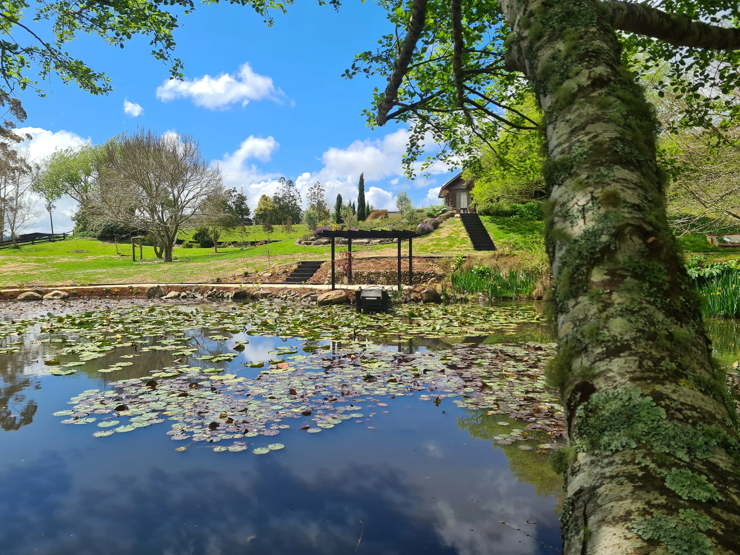 Custom garden pond built in Selwyn, Canterbury