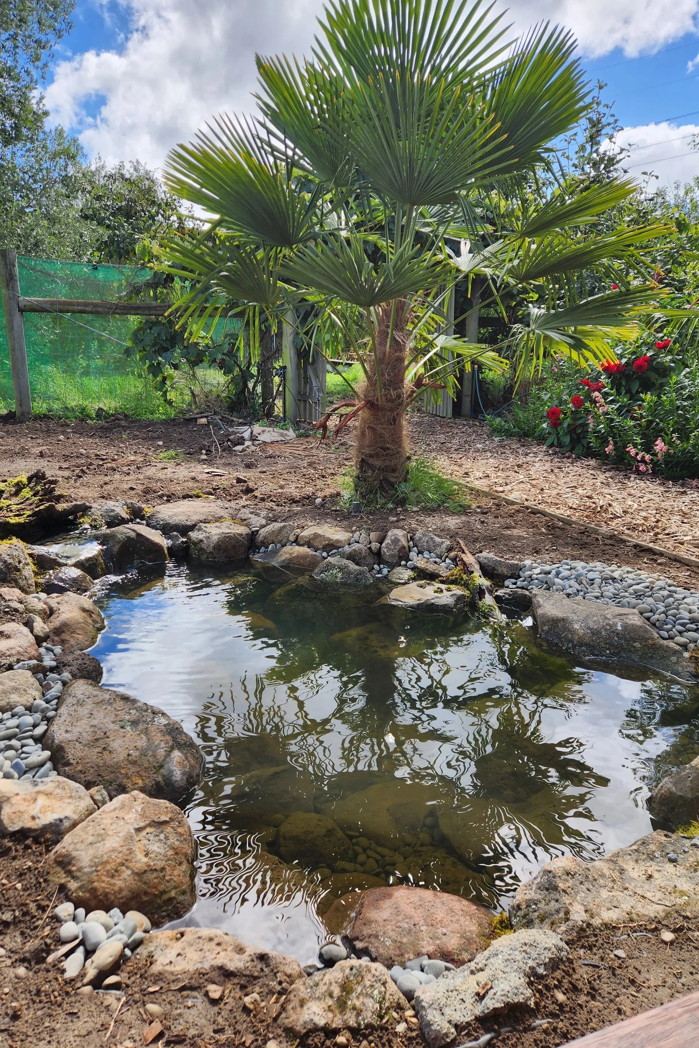 Custom eco-system pond with natural stone edging — Selwyn, Canterbury