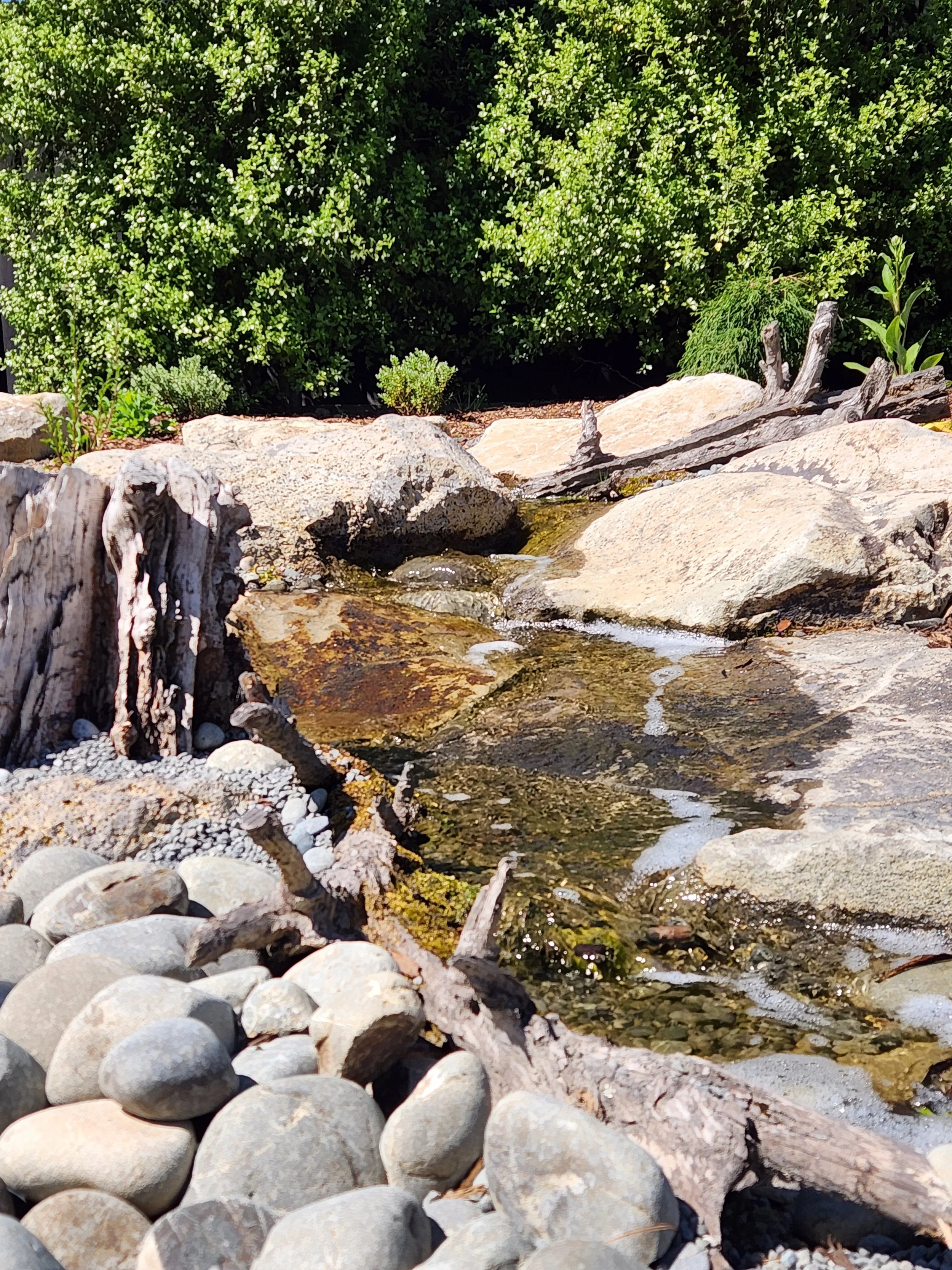 Custom water feature stream with driftwood and natural planting — Southern Waterscapes Ltd, Canterbury NZ