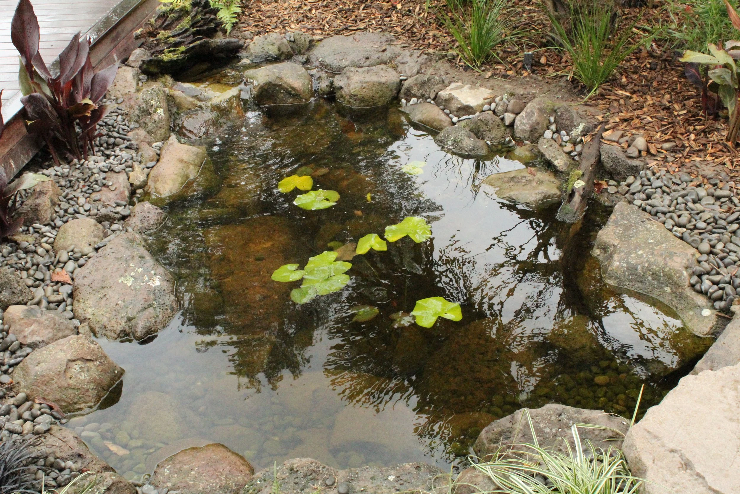 Ecosystem pond with water lilies and Oxford field boulder edging, Darfield, Selwyn — Southern Waterscapes Ltd