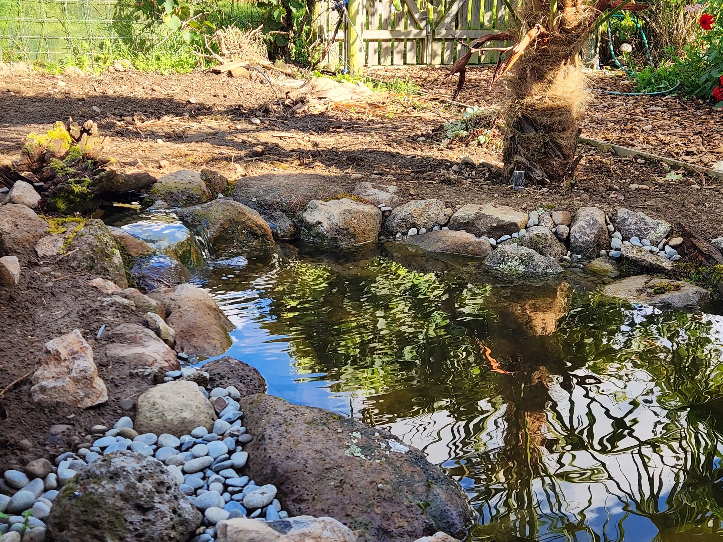 Custom eco-system pond with natural stone edging and river pebbles — Southern Waterscapes Ltd, Selwyn Canterbury
