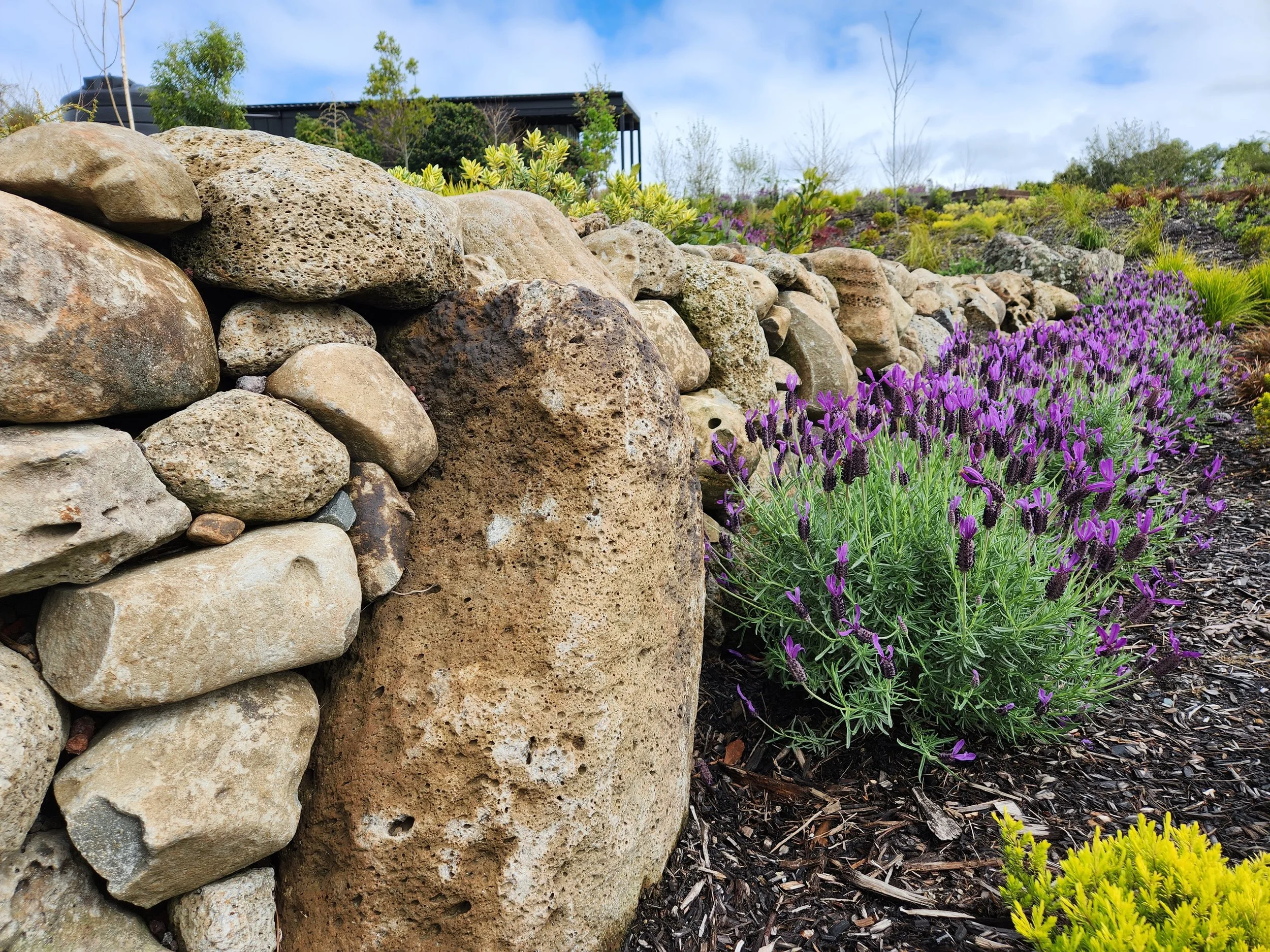 A garden with a stone wall made of various-sized rocks, and purple flowers growing along the ground in front of the wall, under a partly cloudy sky.