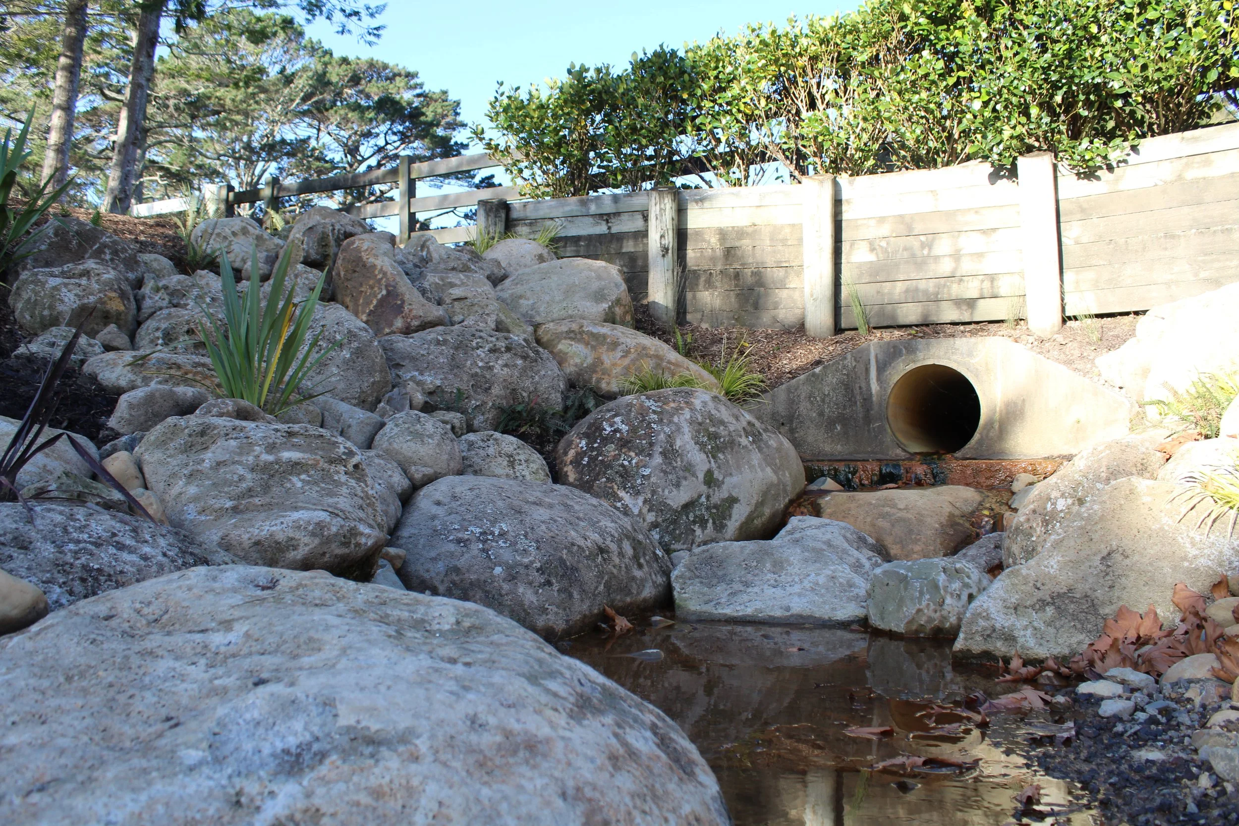 A small stream flowing through a rocky yard with a concrete drainage pipe visible in the background and surrounded by a wooden fence and greenery.