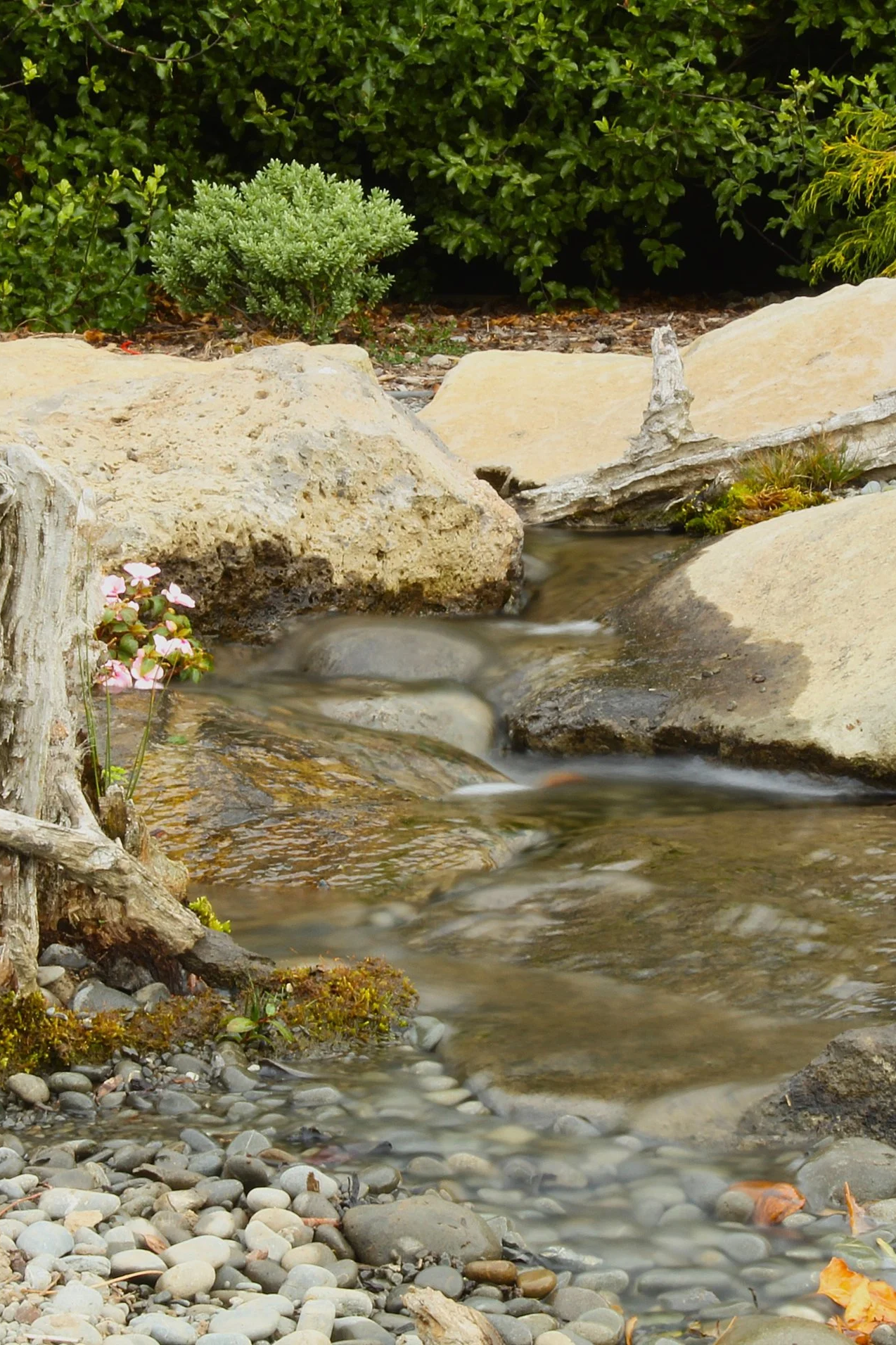 Alt text: Naturalistic stream and waterfall flowing over boulders and river rock in a Canterbury garden