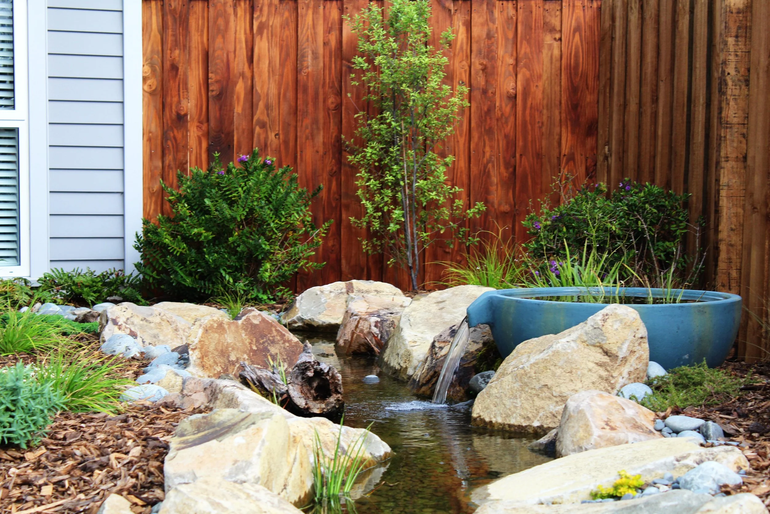 A small garden with a pond made of rocks, with water flowing from a blue ceramic bowl. The garden features various green plants and bushes, a young tree, and a wooden fence in the background.