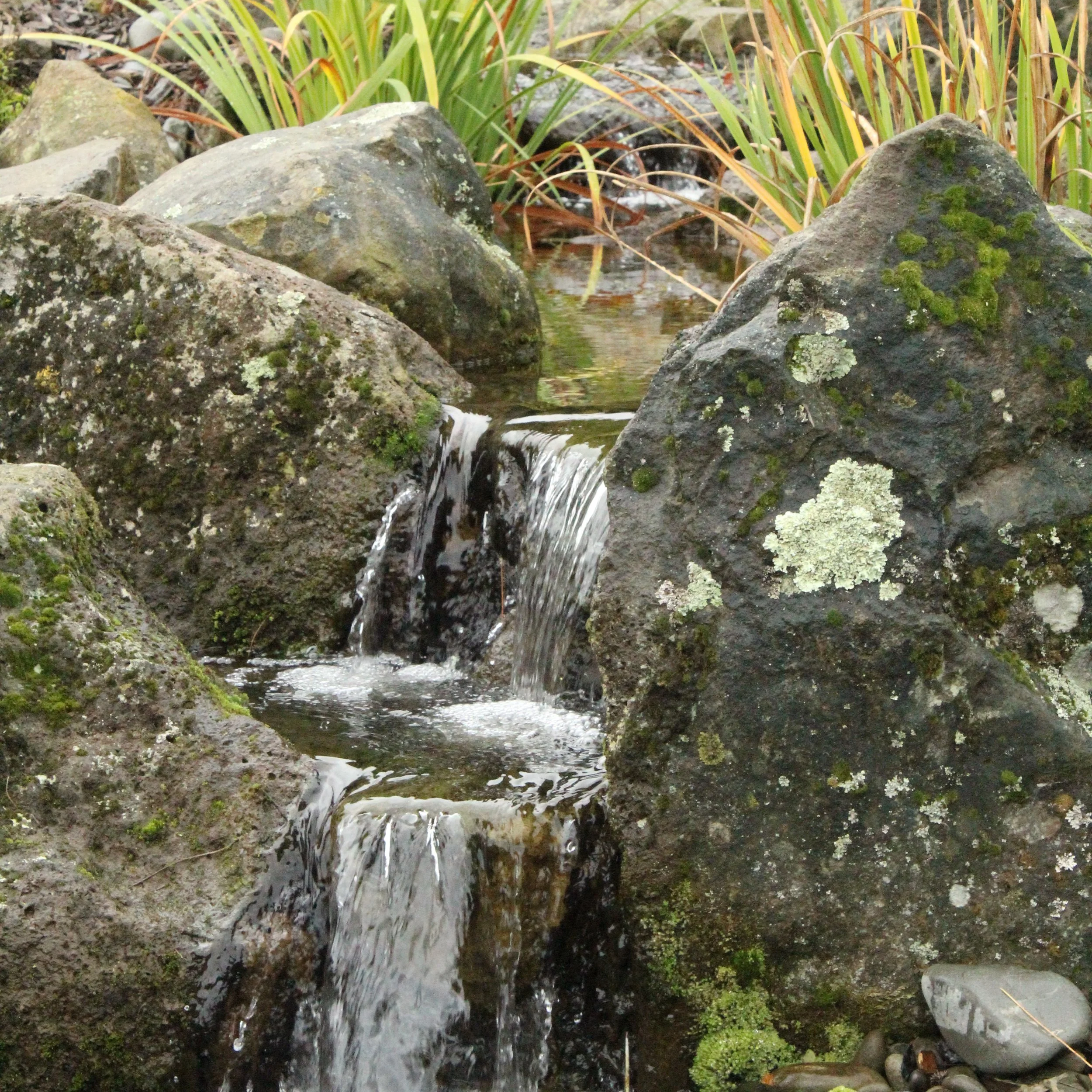 Natural pondless waterfall cascading over moss-covered boulders in a Canterbury garden