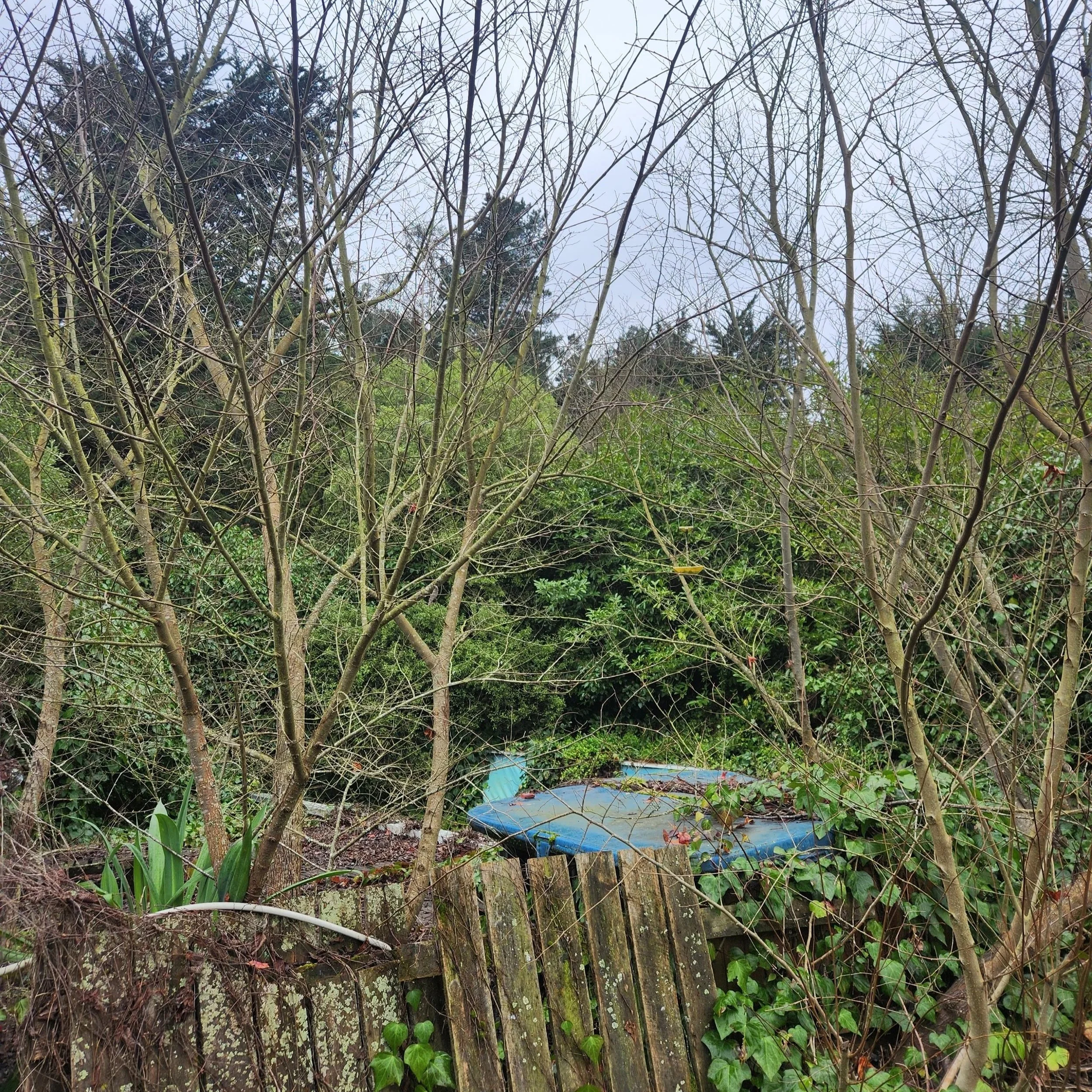 Aylesbury garden before pondless waterfall installation — cleared site showing old swimming pool area, Selwyn Canterbury