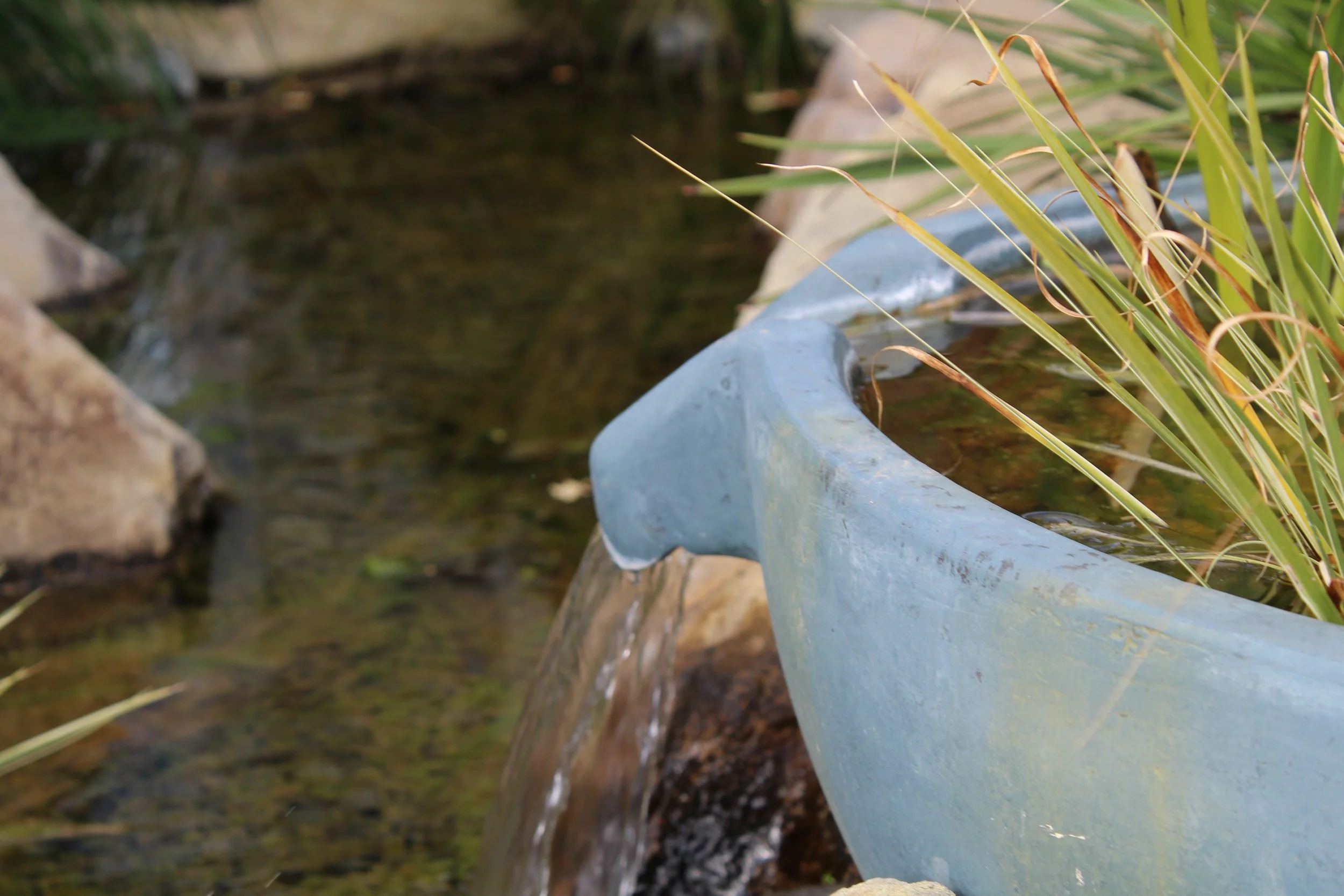 Aquascape spillway bowl with ornamental grass planting, pondless waterfall feature, Rolleston, Selwyn — Southern Waterscapes Ltd