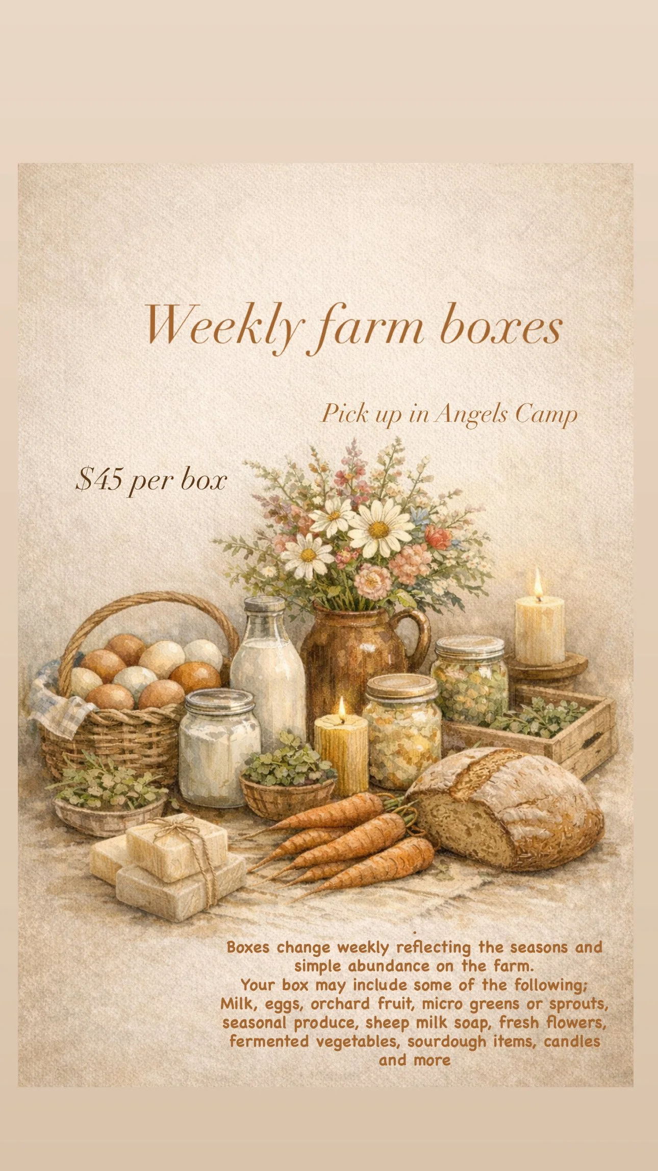 Weekly farm box