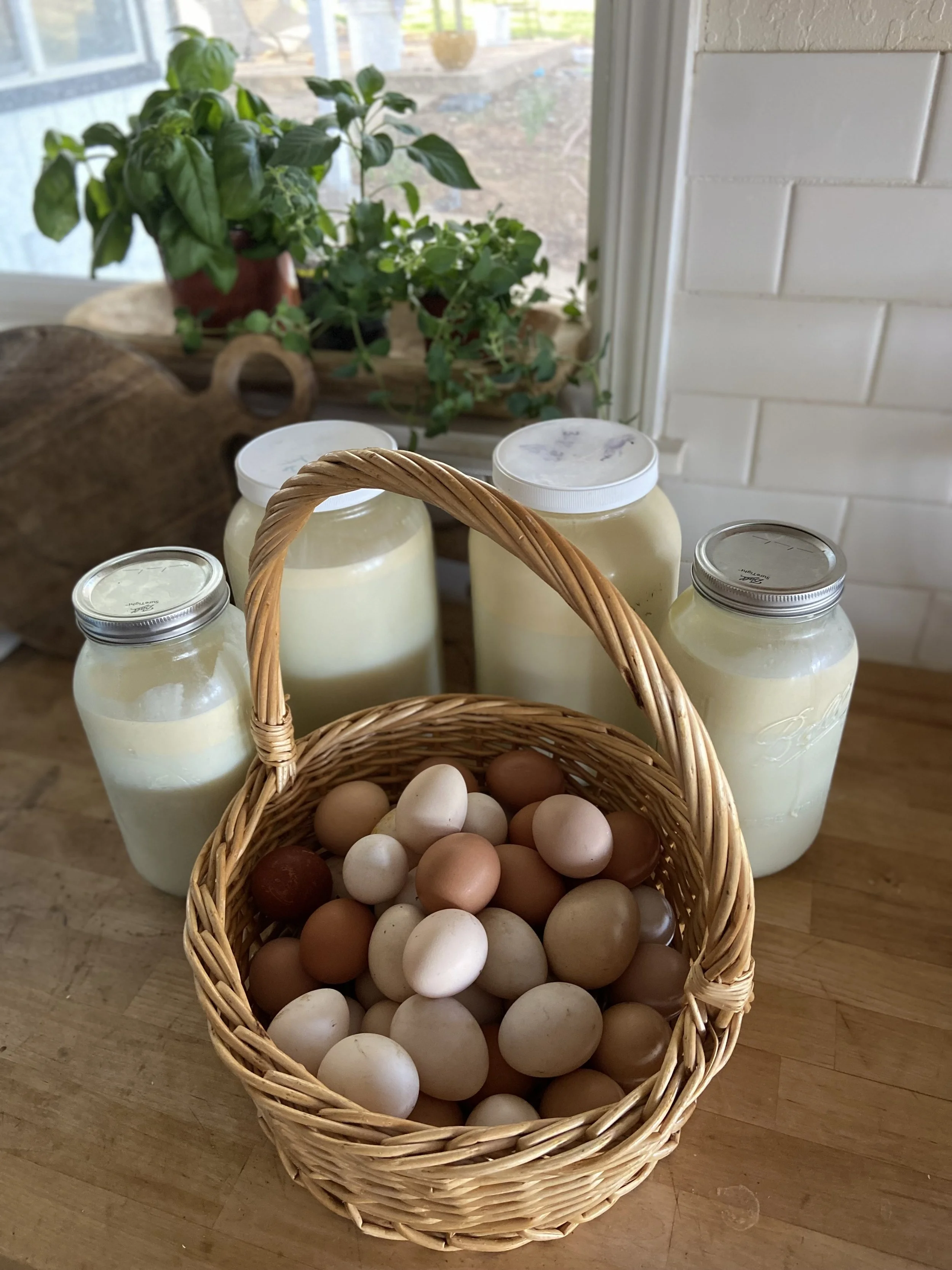 One gallon extra of milk- add on