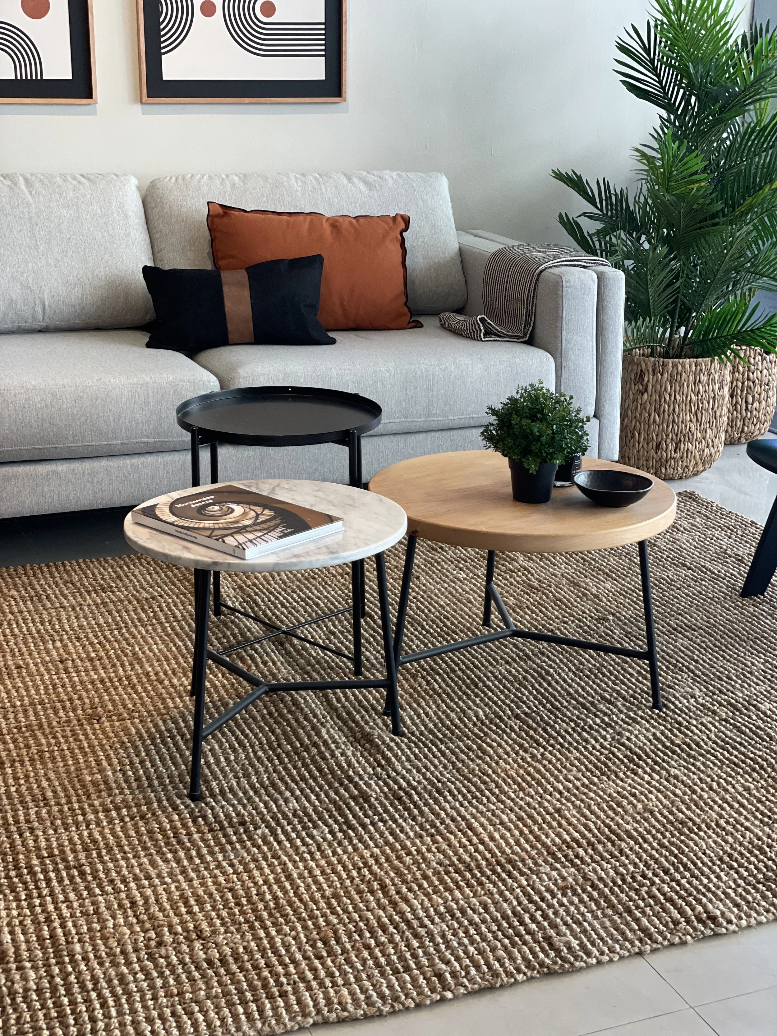 Sala de estar moderna con sofá gris, cojines decorativos, mesa de centro redonda con plantas, alfombra tejida y cuadros artísticos en la pared.