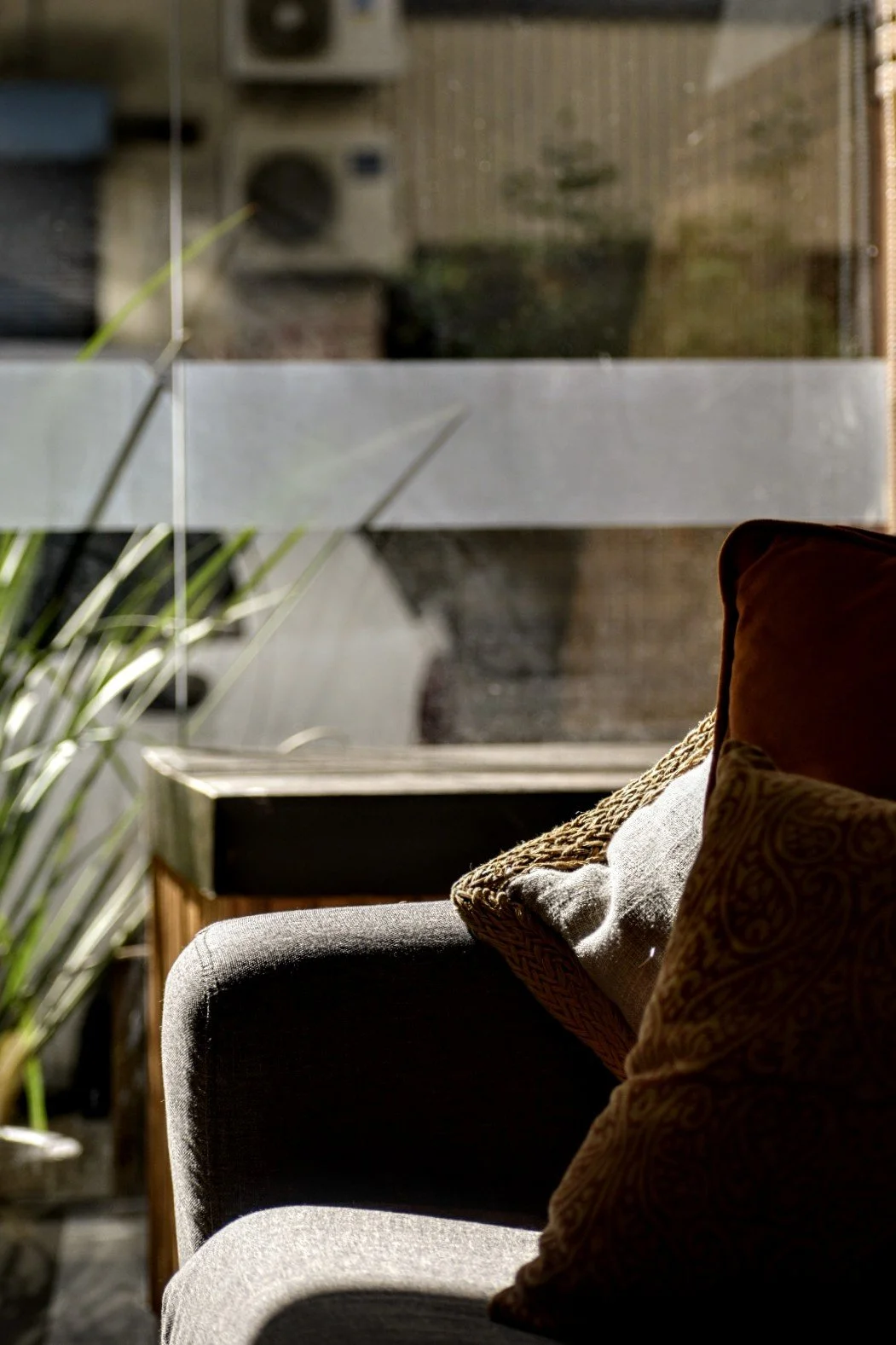 Sofá gris con cojines en una sala iluminada por la luz del sol. Al fondo, una ventana de vidrio y plantas decorativas.
