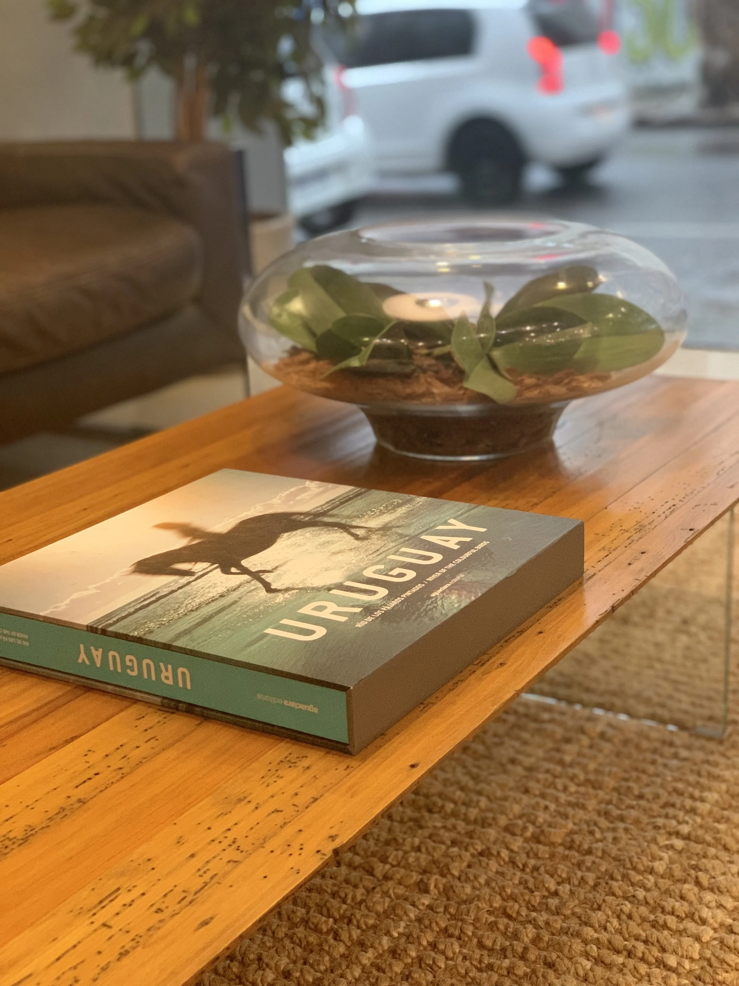 Libro sobre Uruguay en una mesa de madera, junto a un recipiente de vidrio con hojas decorativas.