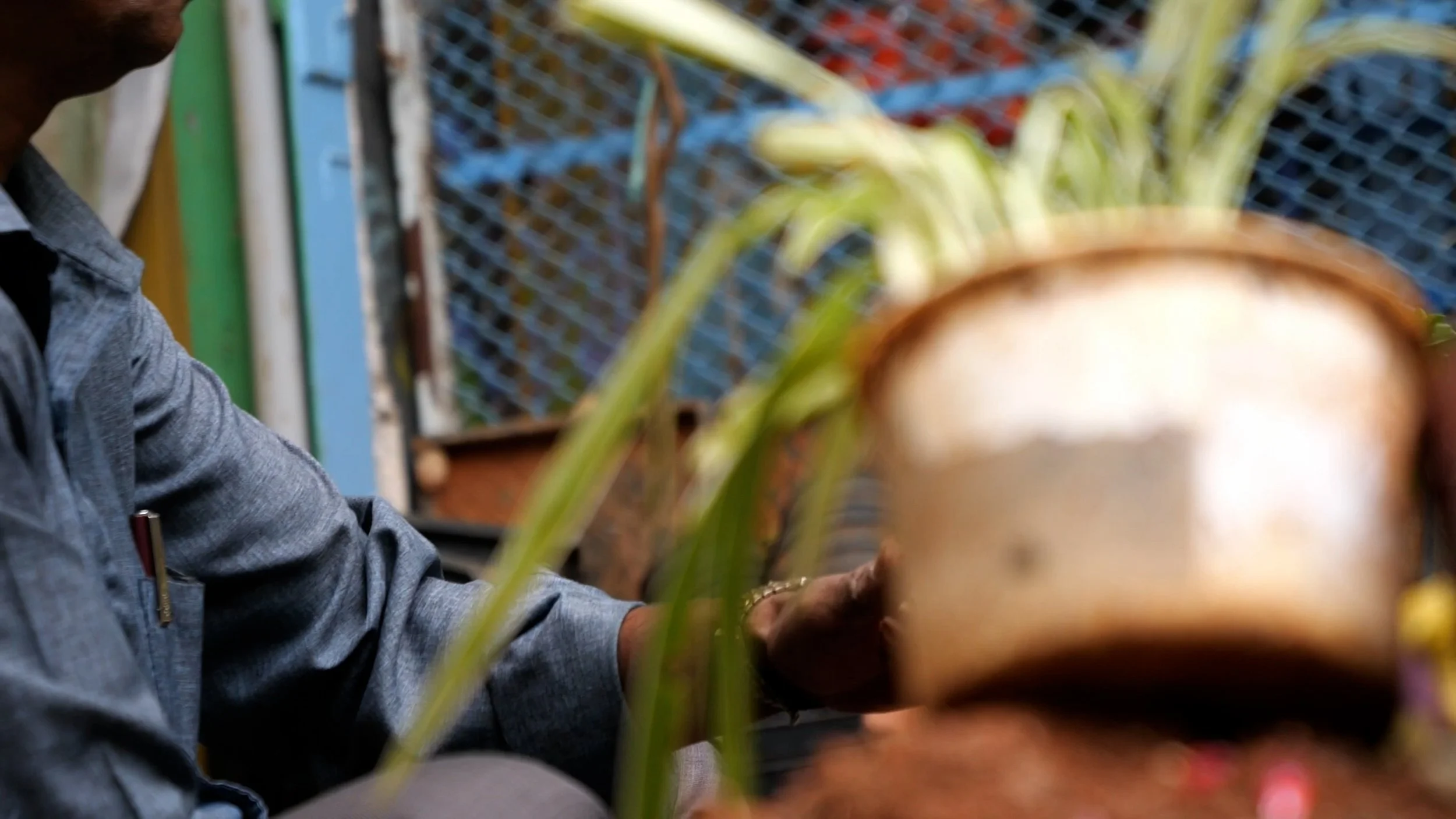 Sequence 01.00_02_21_15.Still012.jpg