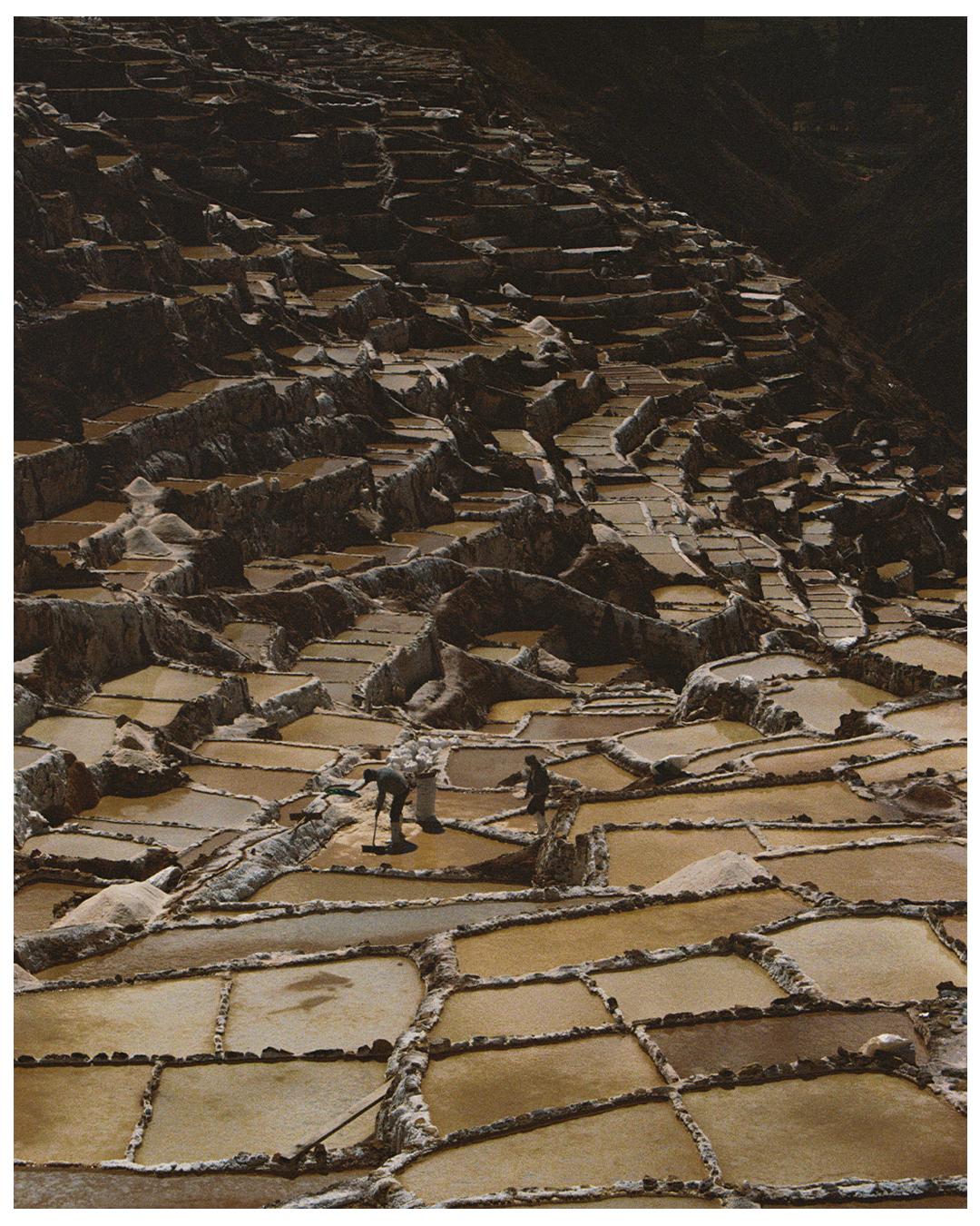 SALT MINES VERTICAL BORDERS.png