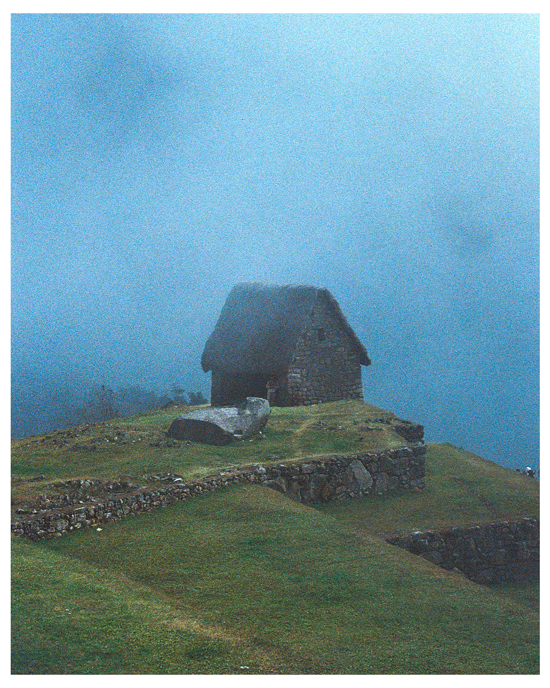 HOUSEPICHU VERTICAL BORDER.png