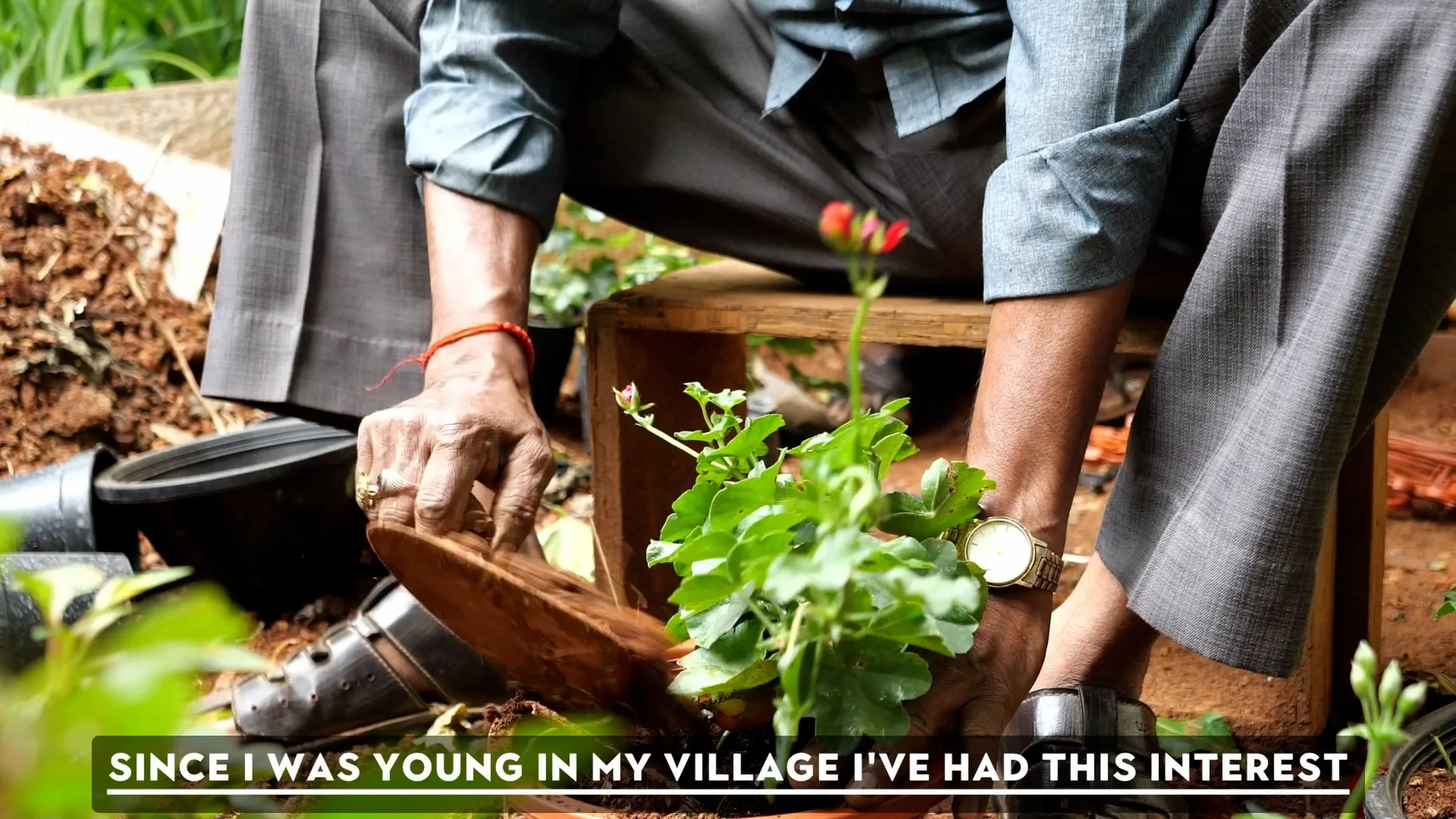 Sequence 01.00_02_38_18.Still014.jpg