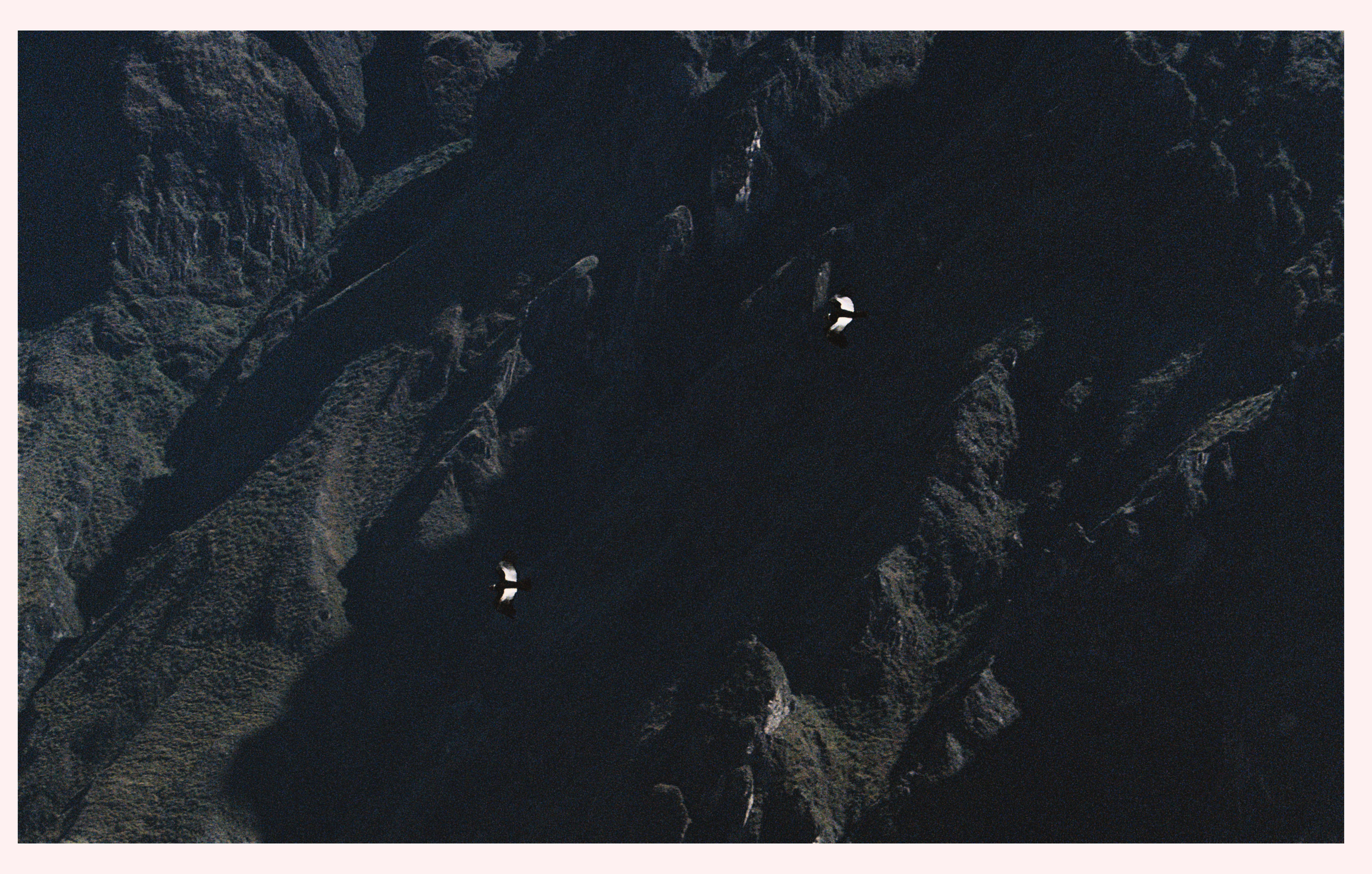 3012495-R1-050-23C.png