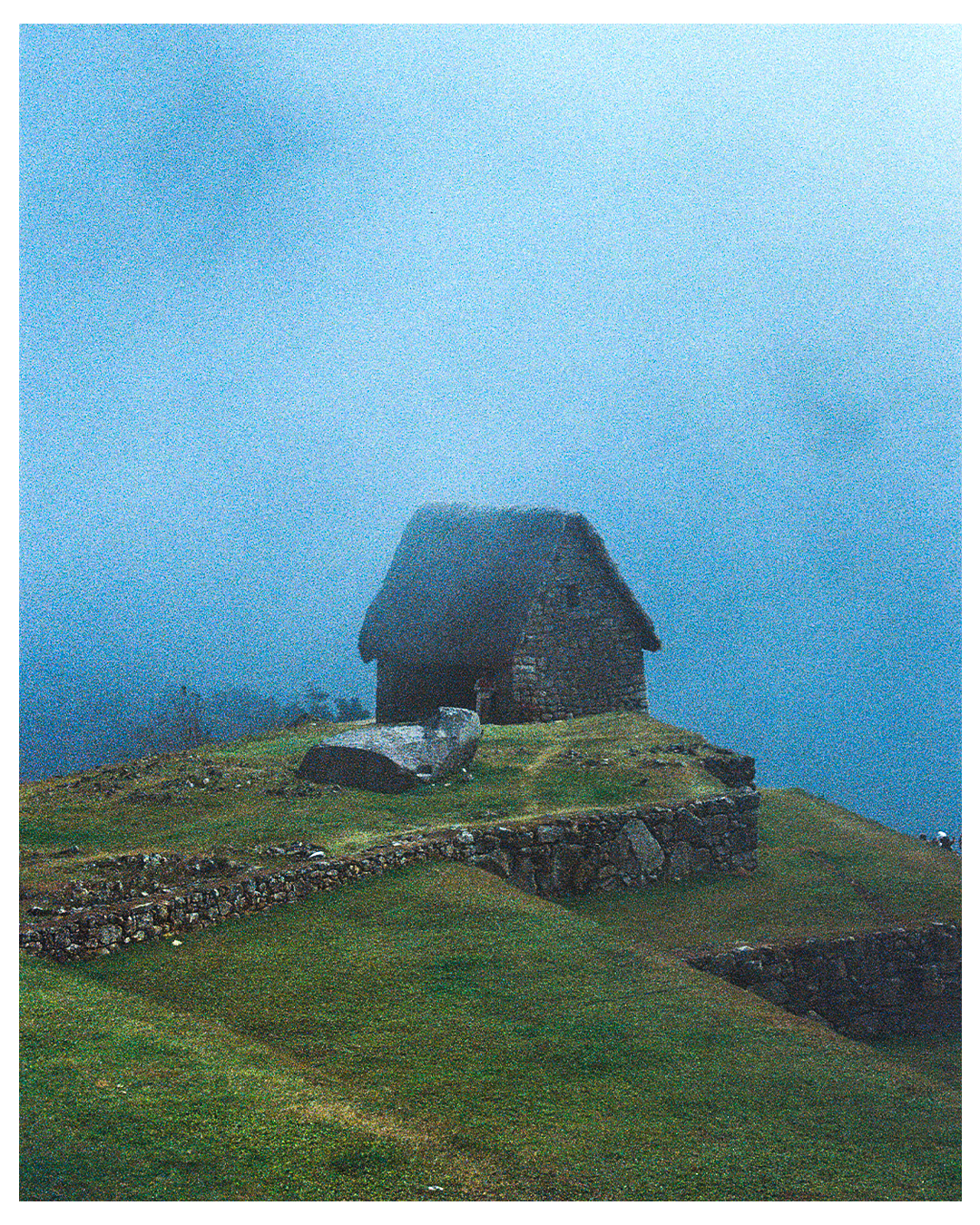 HOUSE VERTICAL BORDER.png