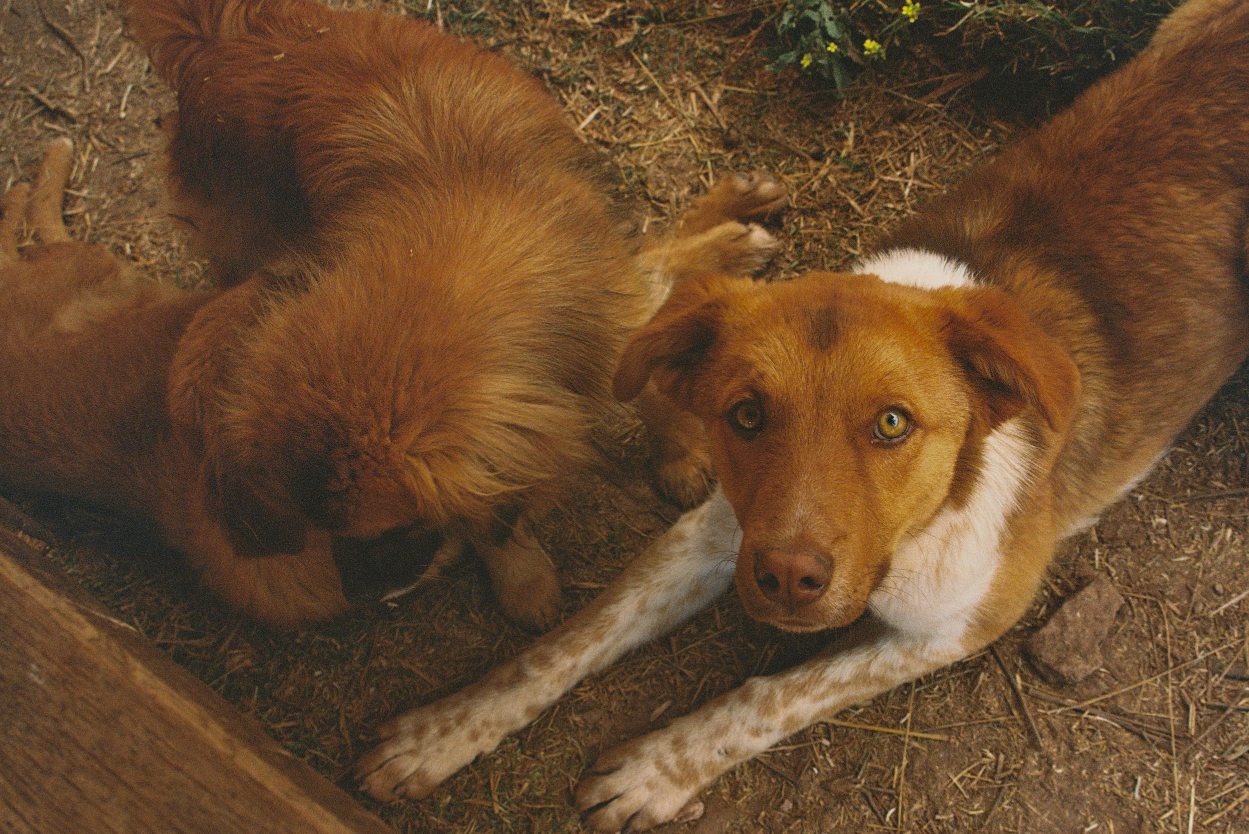 3012495-R1-034-15D.png