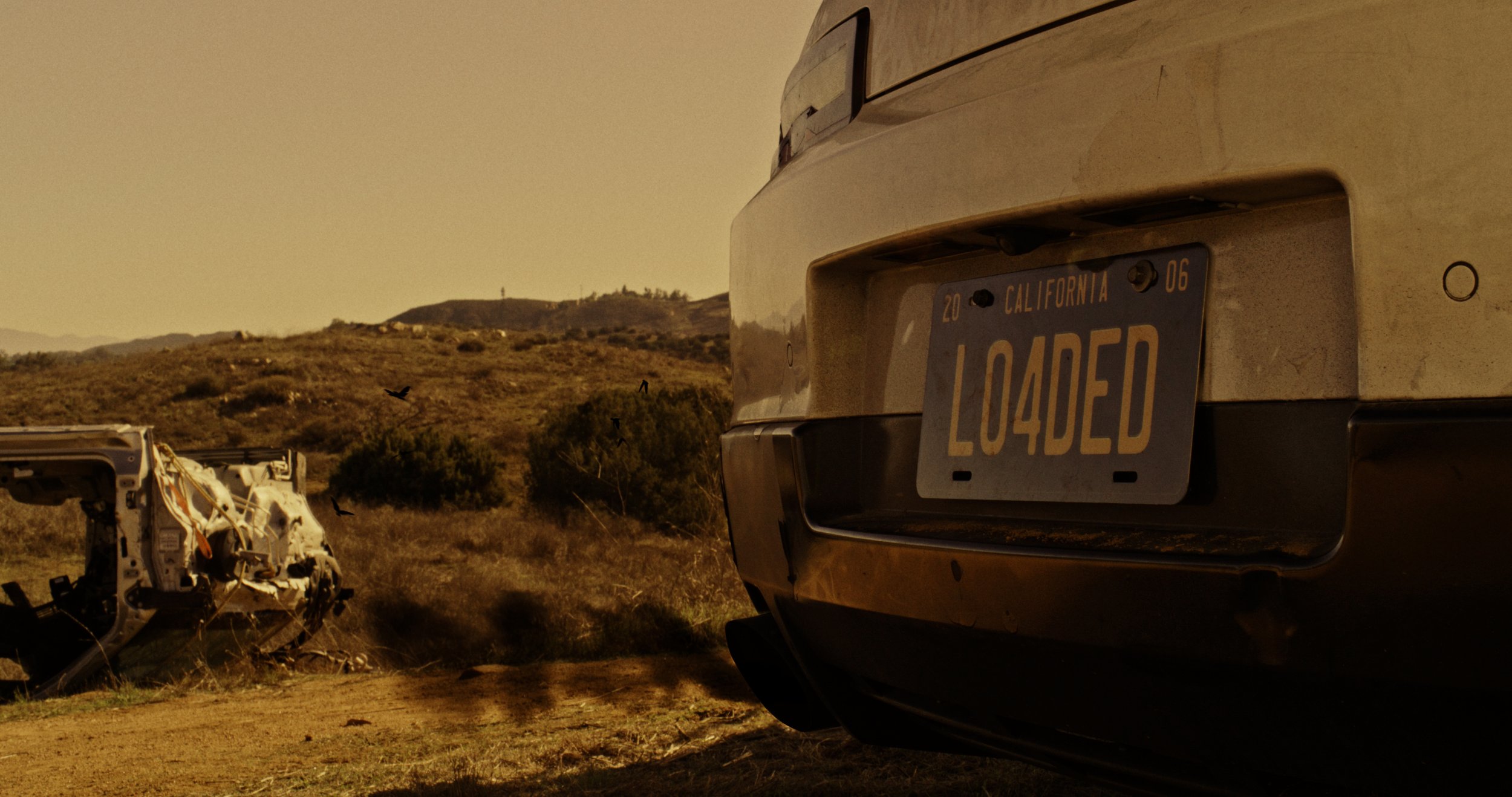 LOADED FINAL.00_00_11_08.Still002.jpg