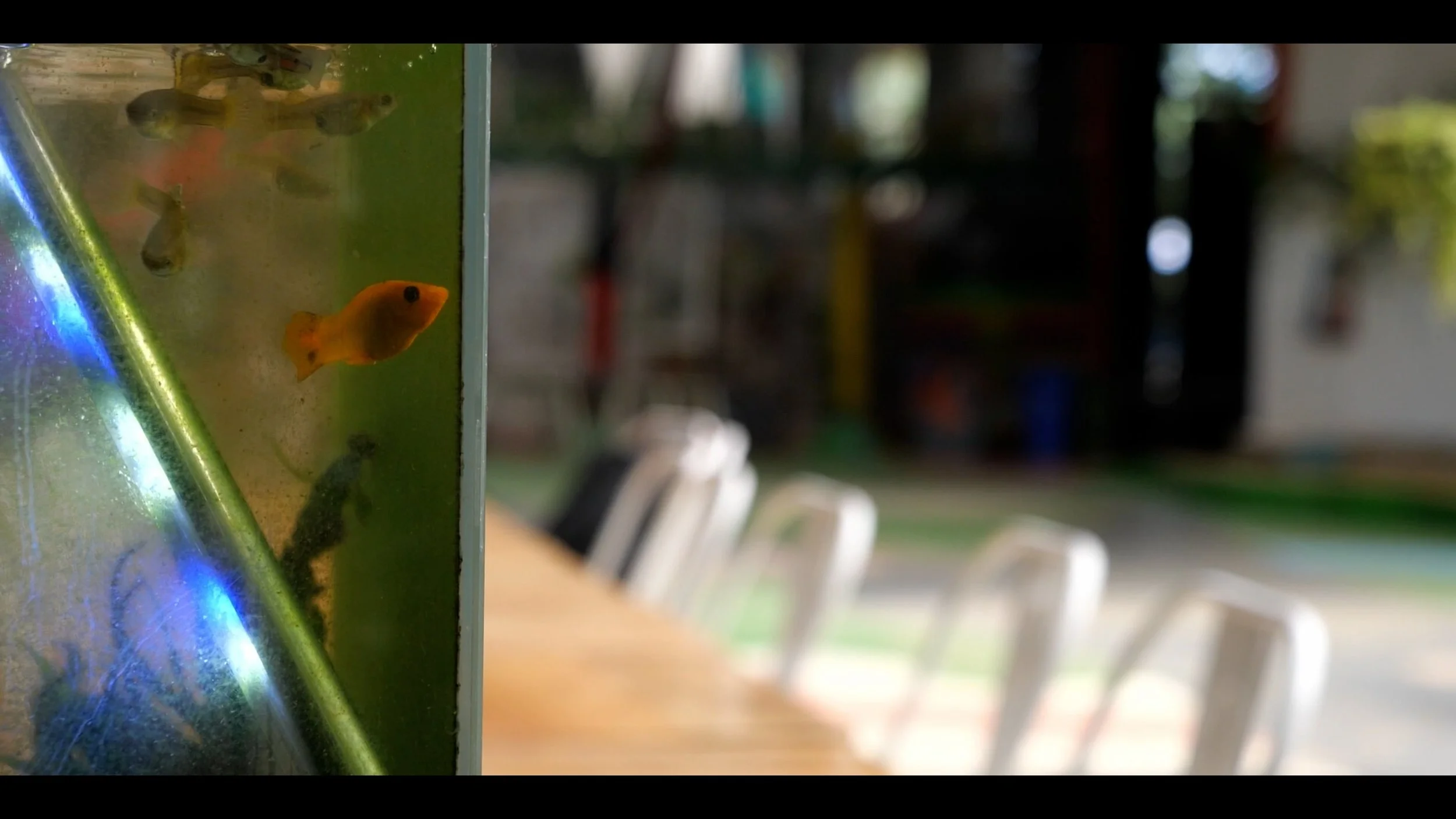 Sequence 01.00_00_24_21.Still002.jpg