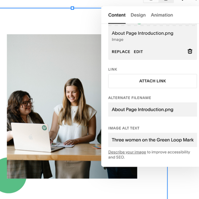 This image is a screenshot of the backend of Green Loop’s website, where alternative text can be written for an image. The image features 3 female employees working on a laptop.