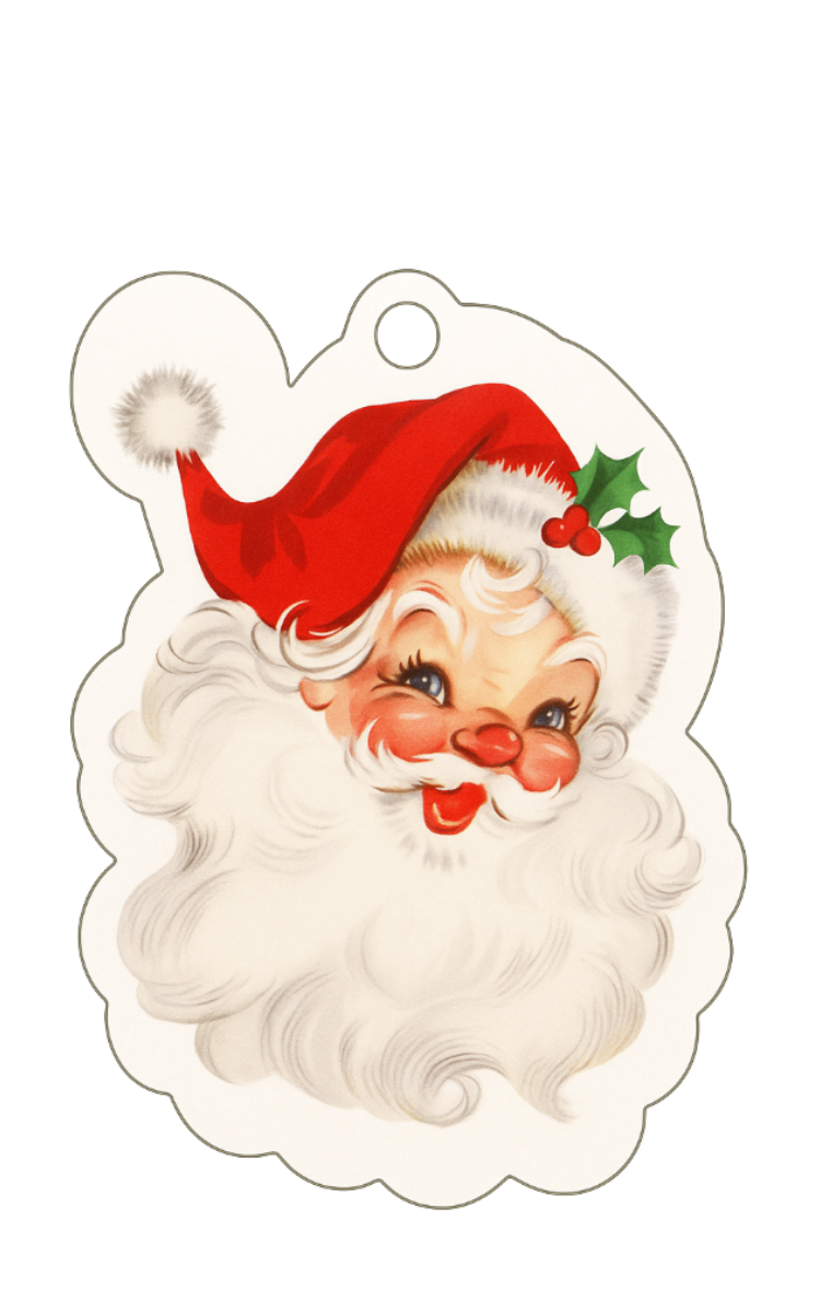 Merry Christmas!.png