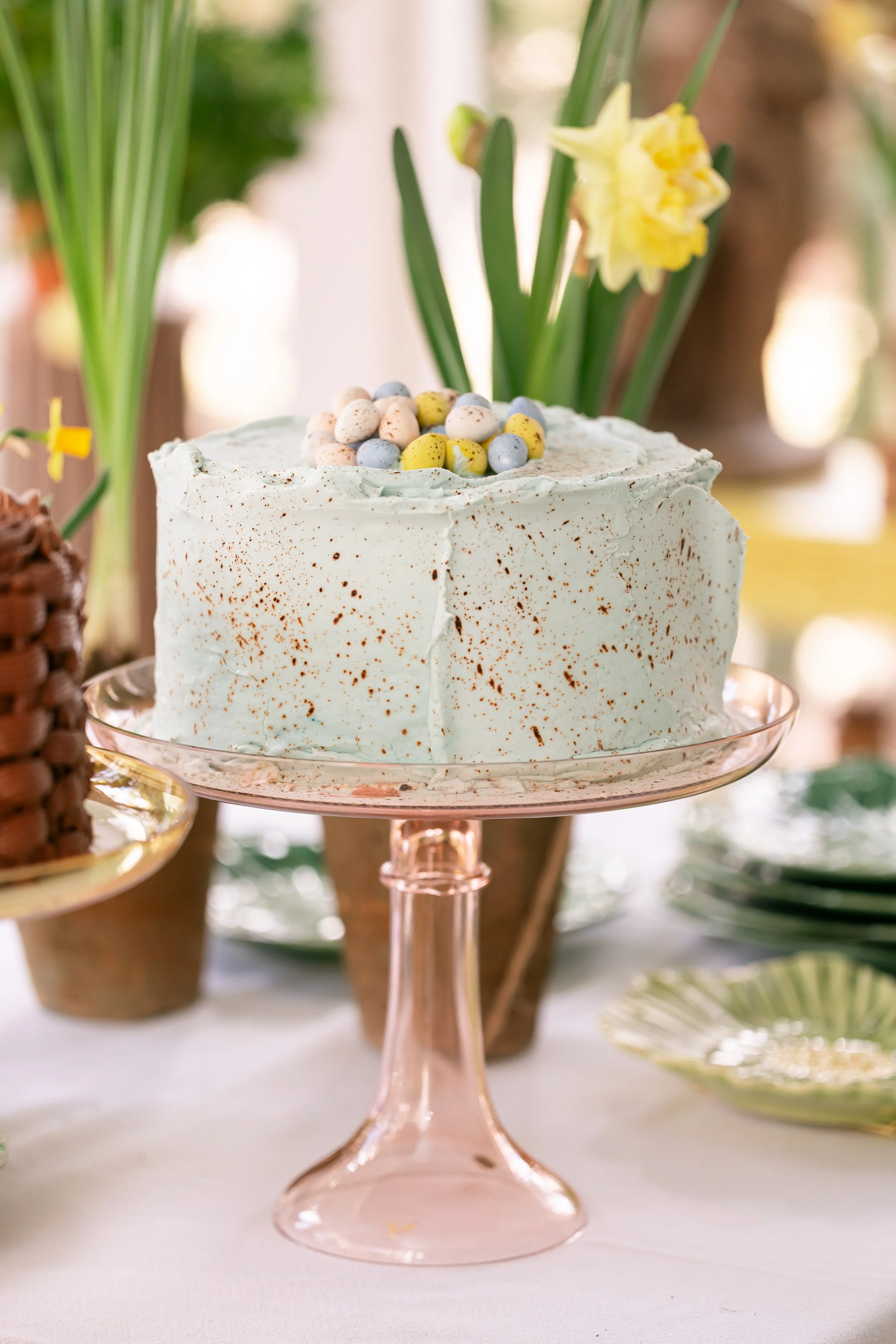 Robin Egg Cake
