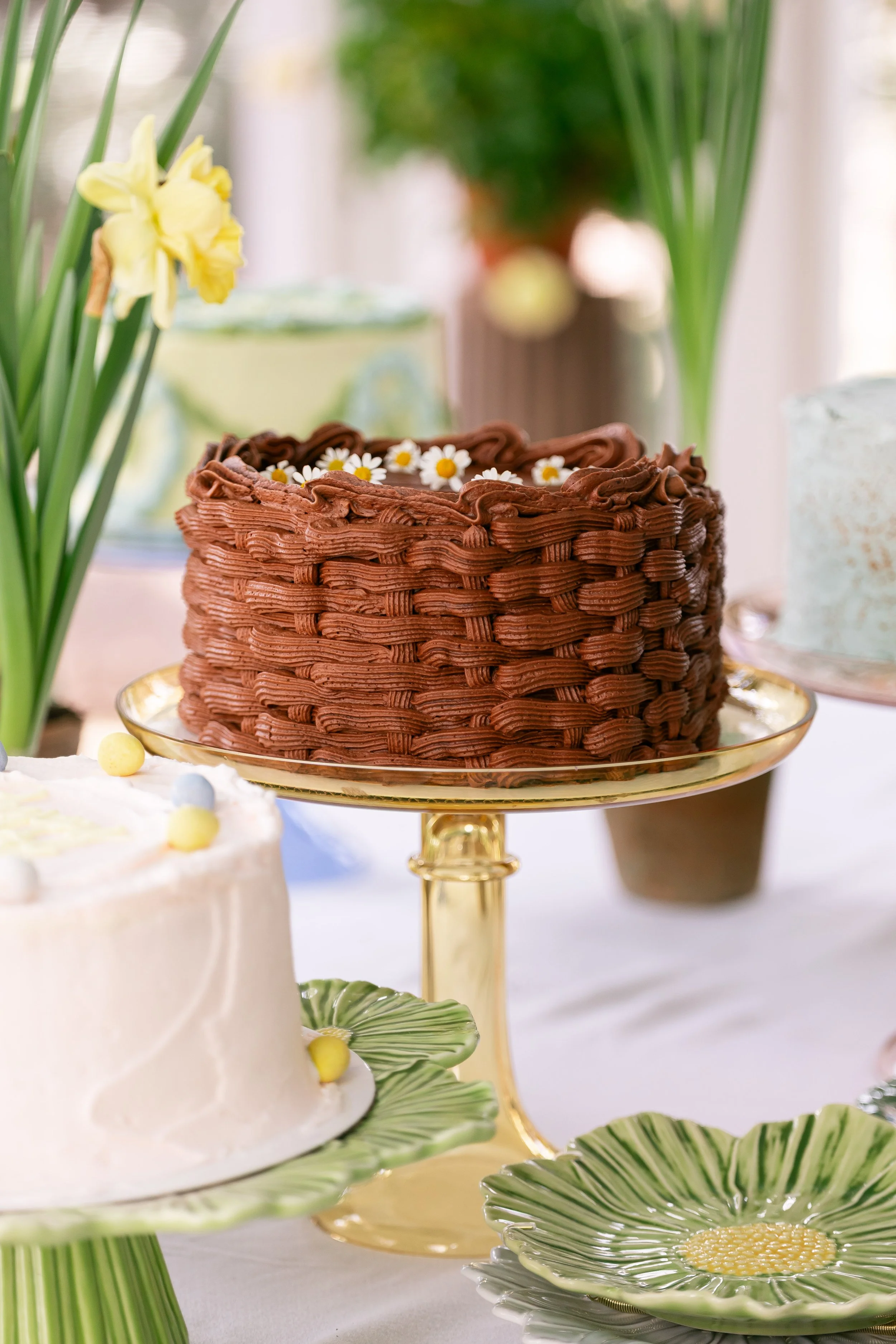 Chocolate Daisy Cake