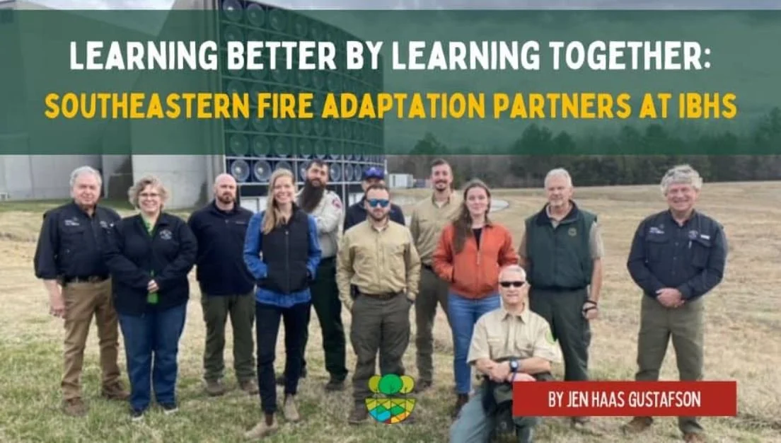 learning better by learning together.JPG