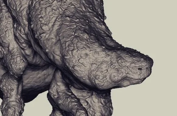 Print Project