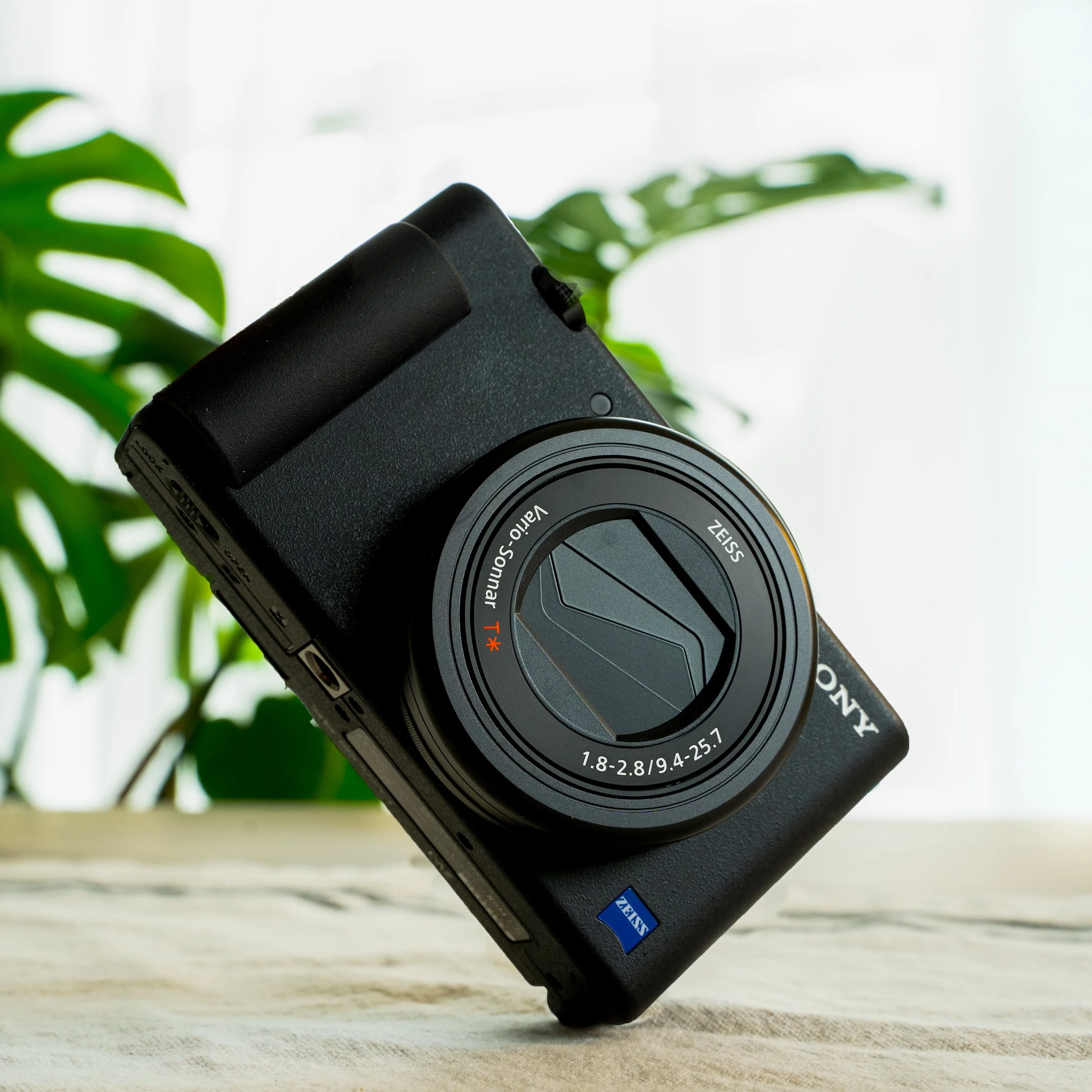 2020-08-13_Sony_ZV1-0014-Edit.jpg